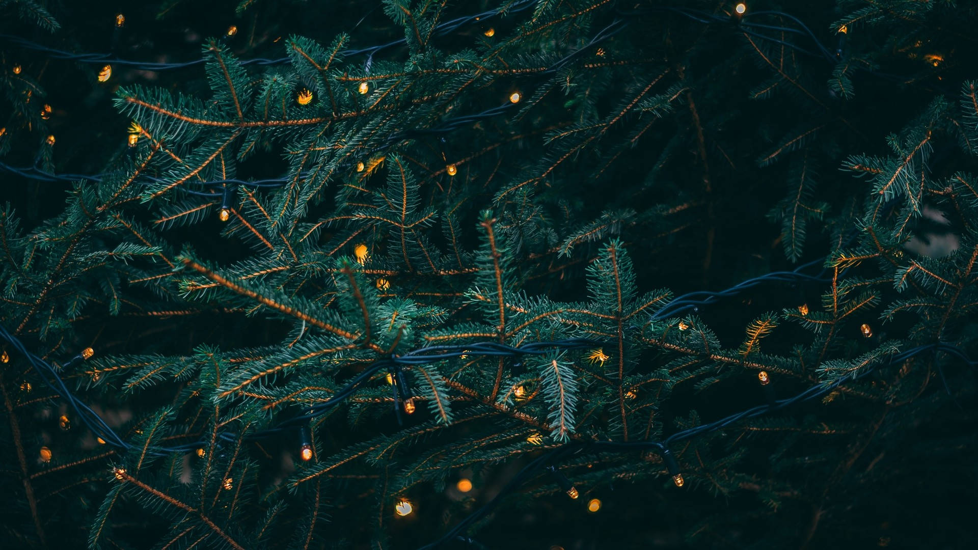 Escritorio navideño estético verde oscuro Fondos de pantalla