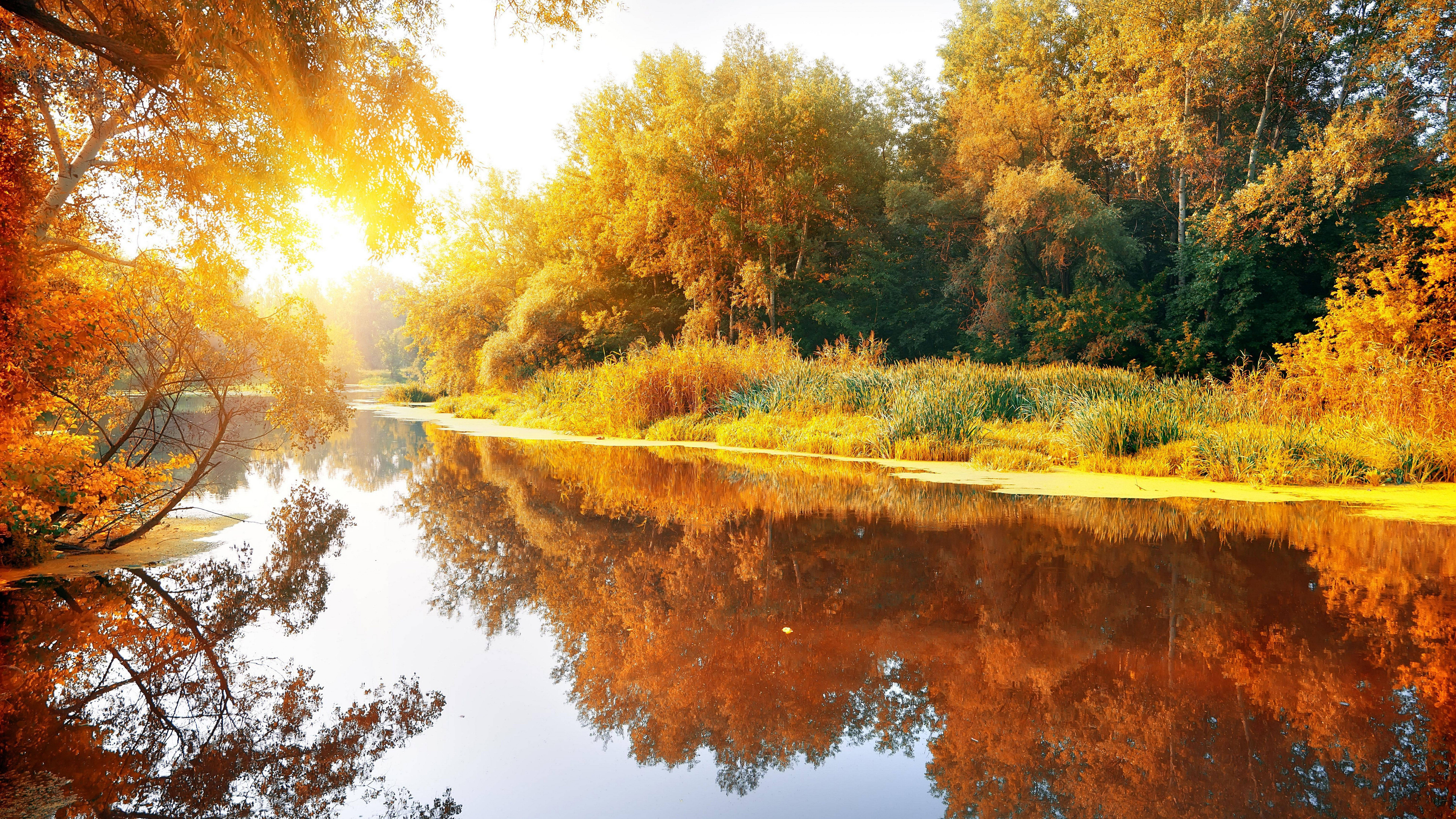 Escritorio Río en Resolución Ultra HD 8K 7680x4320 Fondos de pantalla