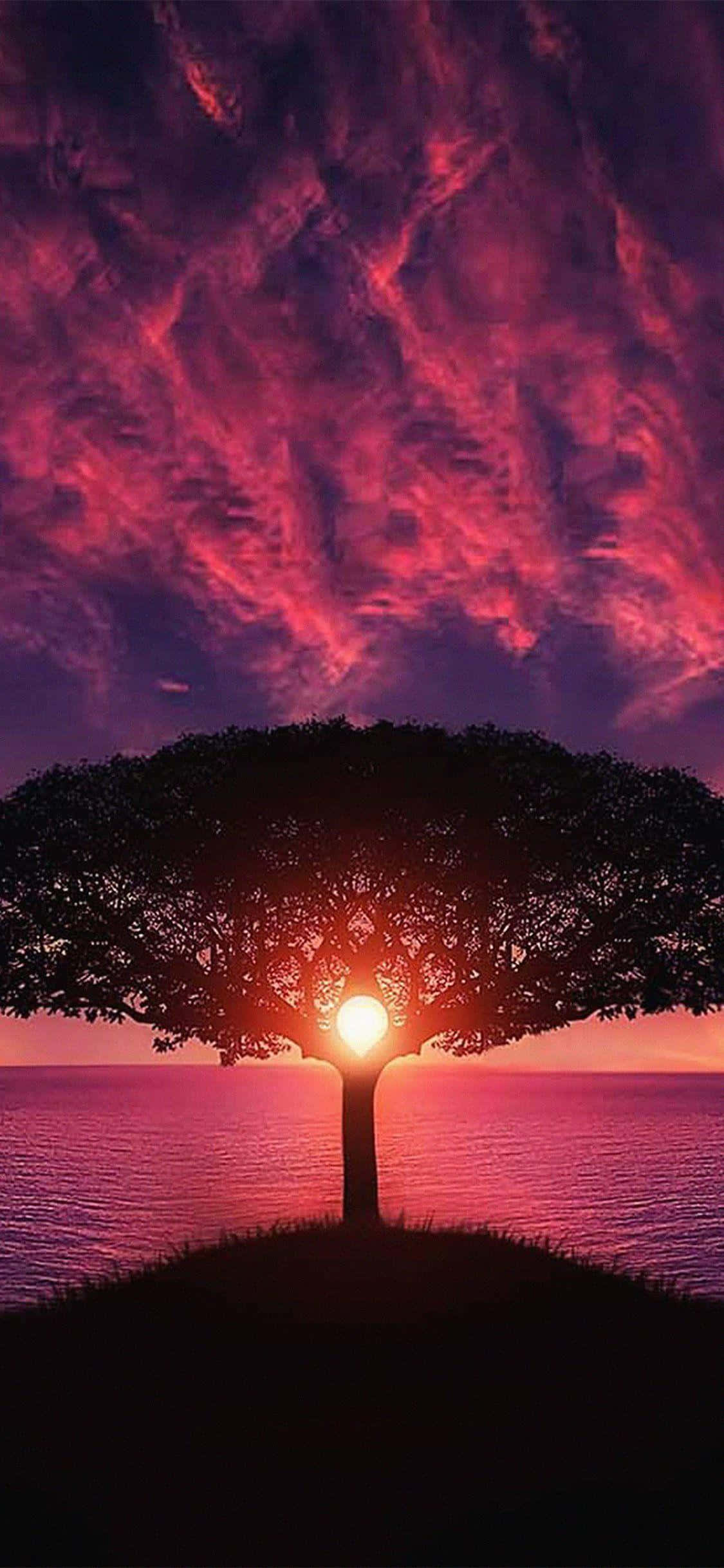 Esencia Cautivadora de la Naturaleza en un Fondo de Pantalla para iPhone X Fondos de pantalla