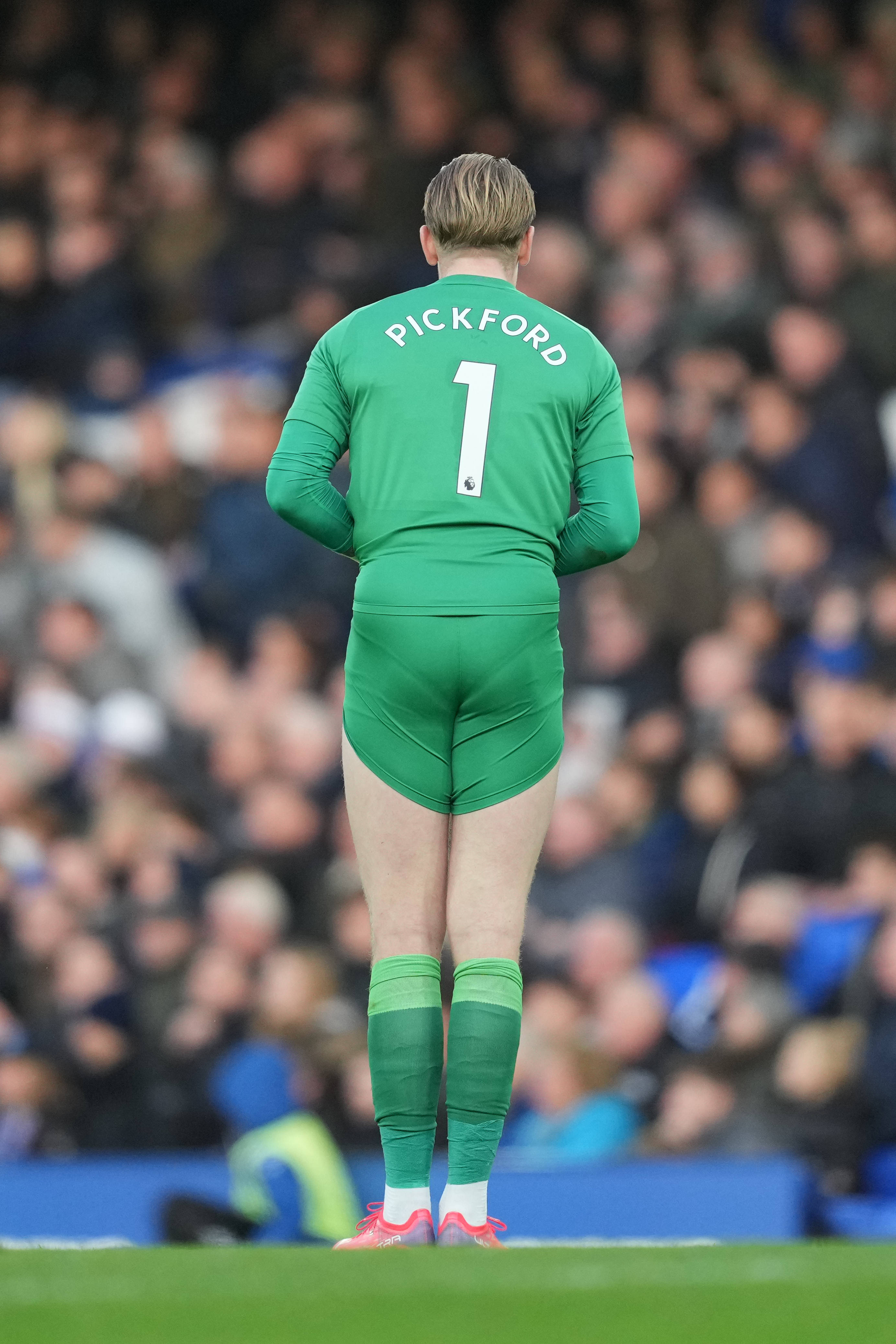 Espalda de Jordan Pickford en verde Fondos de pantalla