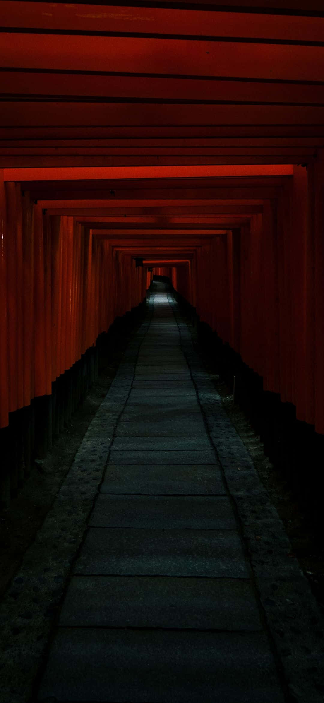 Espectacular horizonte nocturno en Tokio, Japón Fondos de pantalla