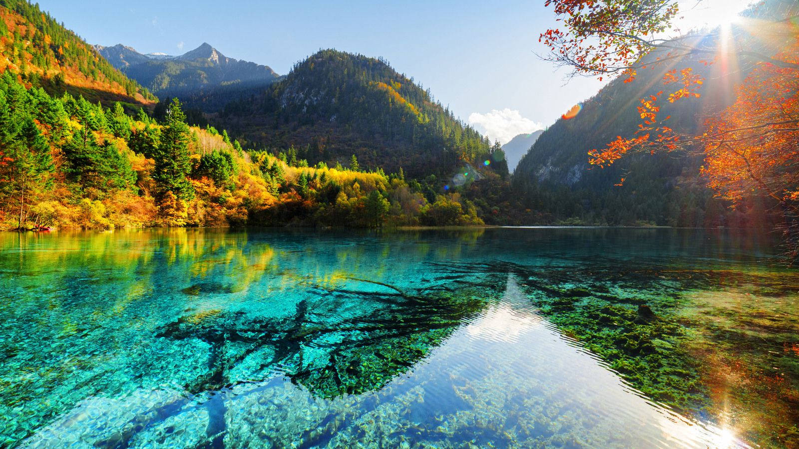 Esta impresionante vista del lago muestra agua cristalina y un paisaje pintoresco Fondos de pantalla