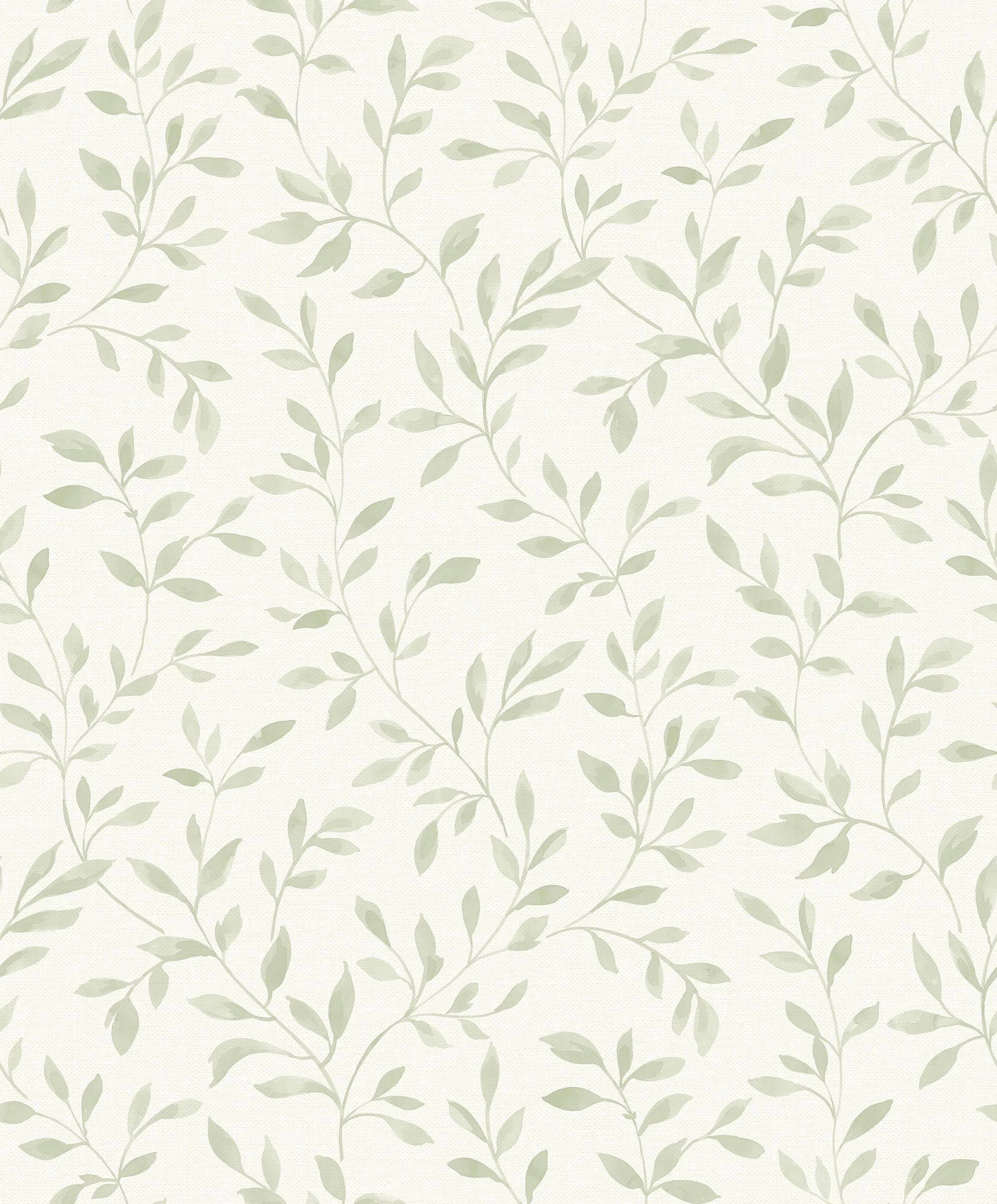 Estampado de hojas verde salvia Fondos de pantalla