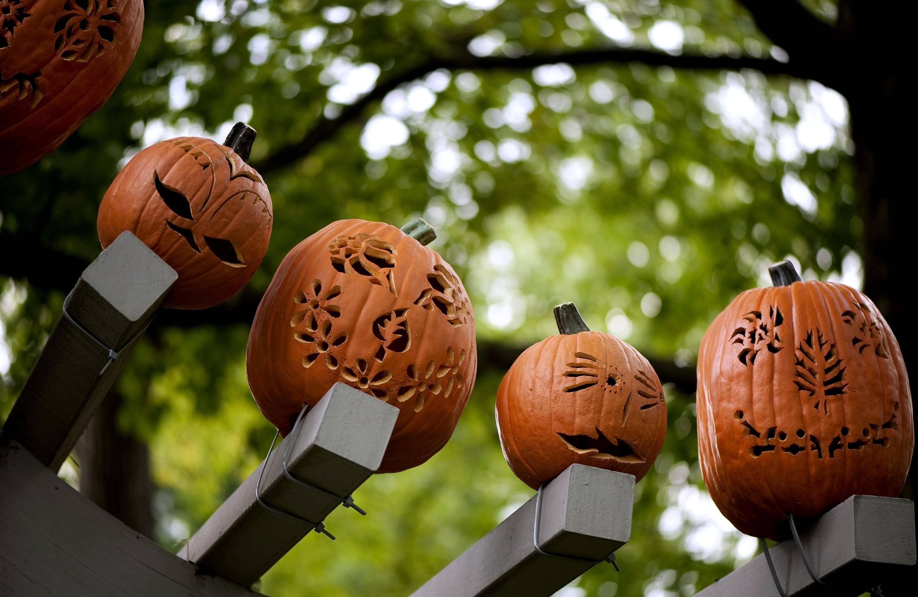 Estas espeluznantes calabazas seguramente traerán un miedo aterrador este Halloween Fondos de pantalla