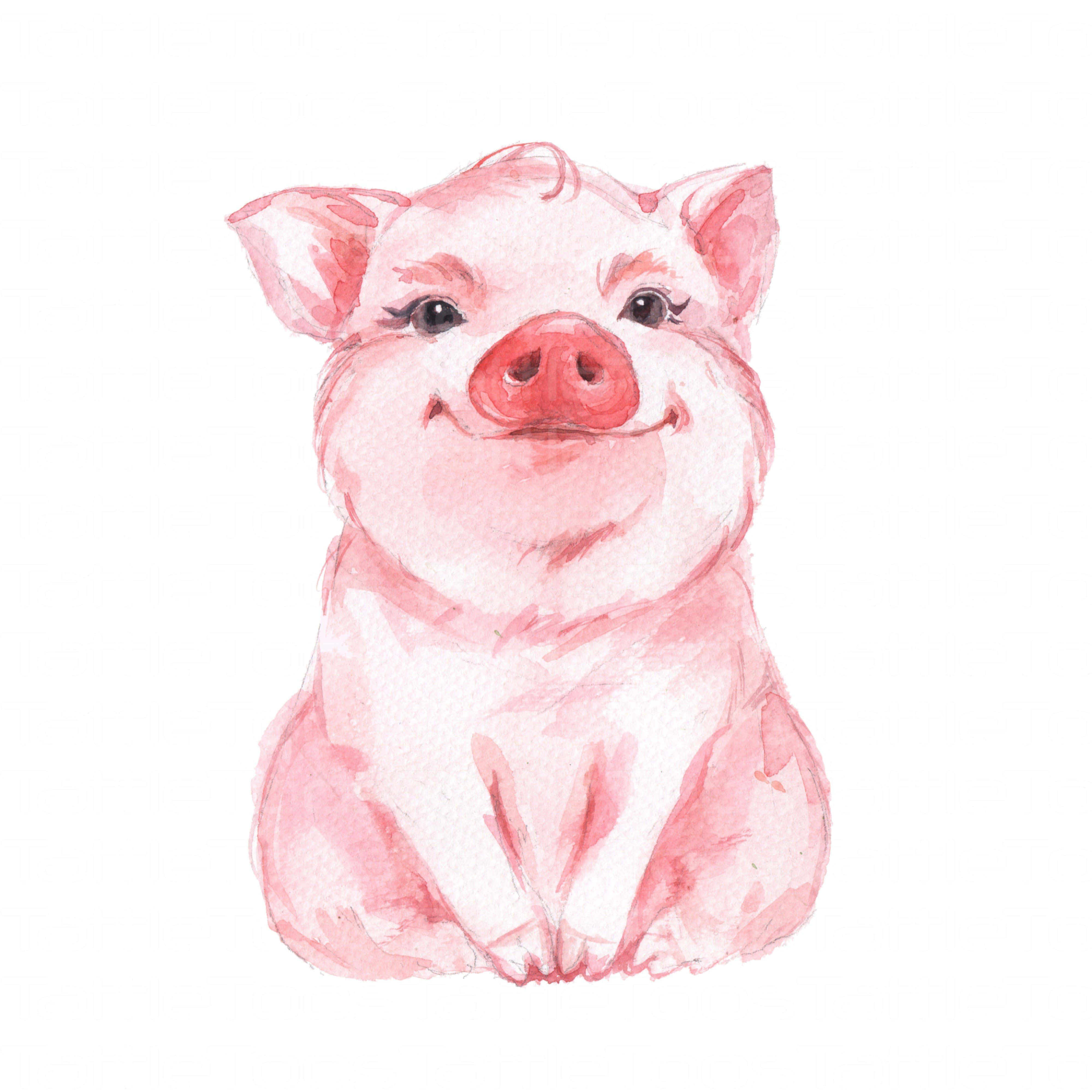 Este Cerdito Adorable Está Listo para Mimos Fondos de pantalla