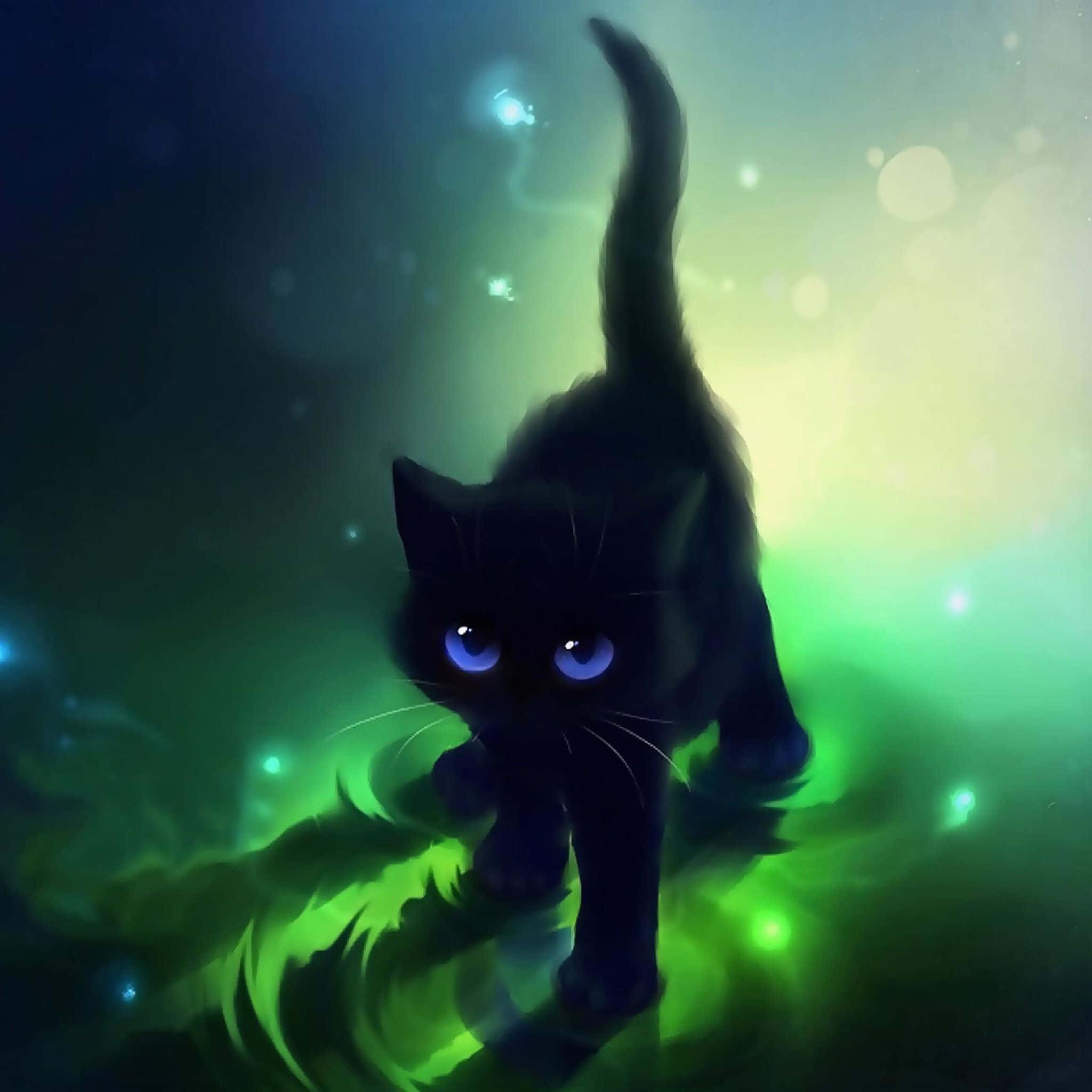 Este hermoso gato negro te robará el corazón Fondos de pantalla