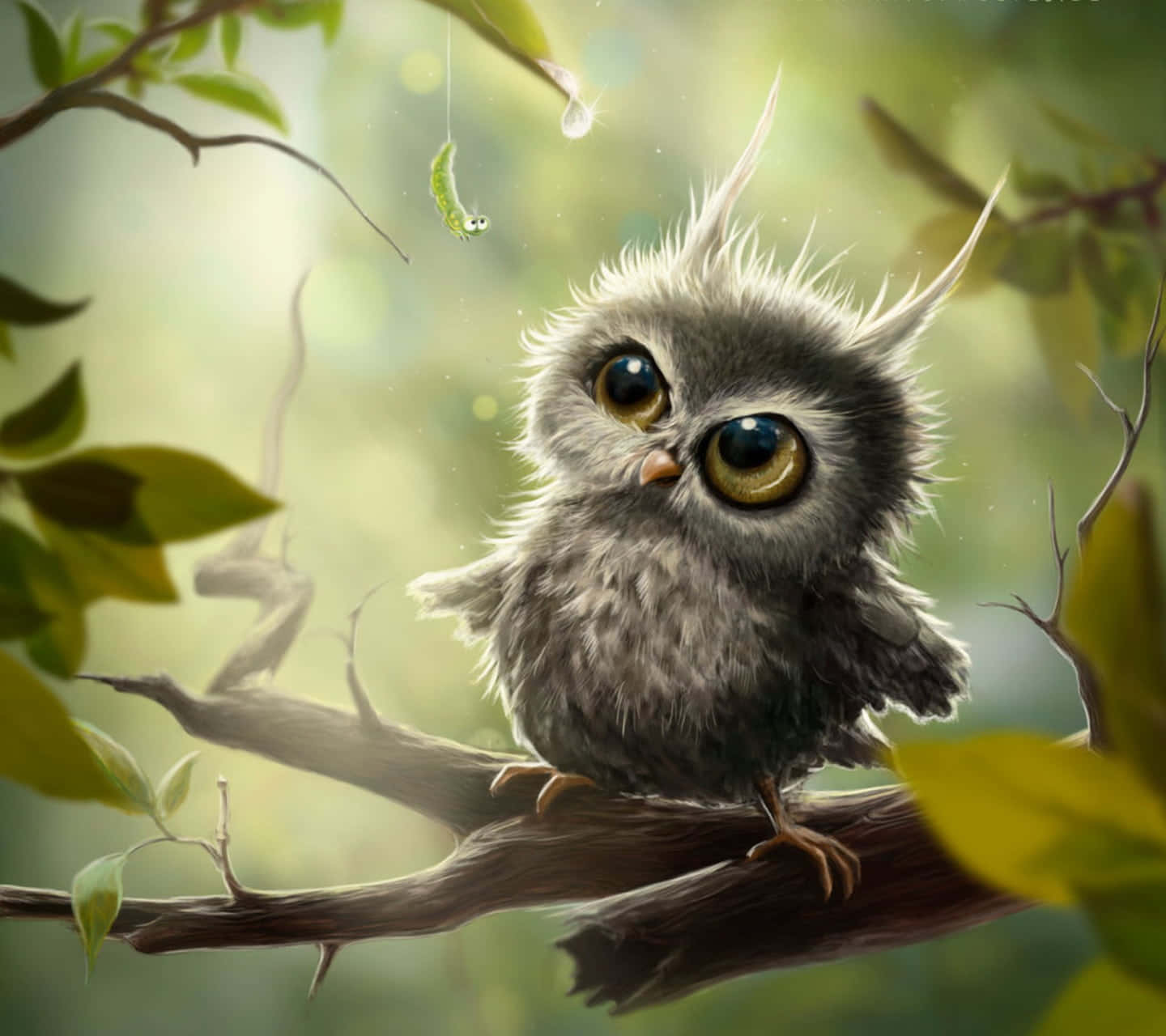 ¡Este lindo búho alegrará tu día! Fondos de pantalla