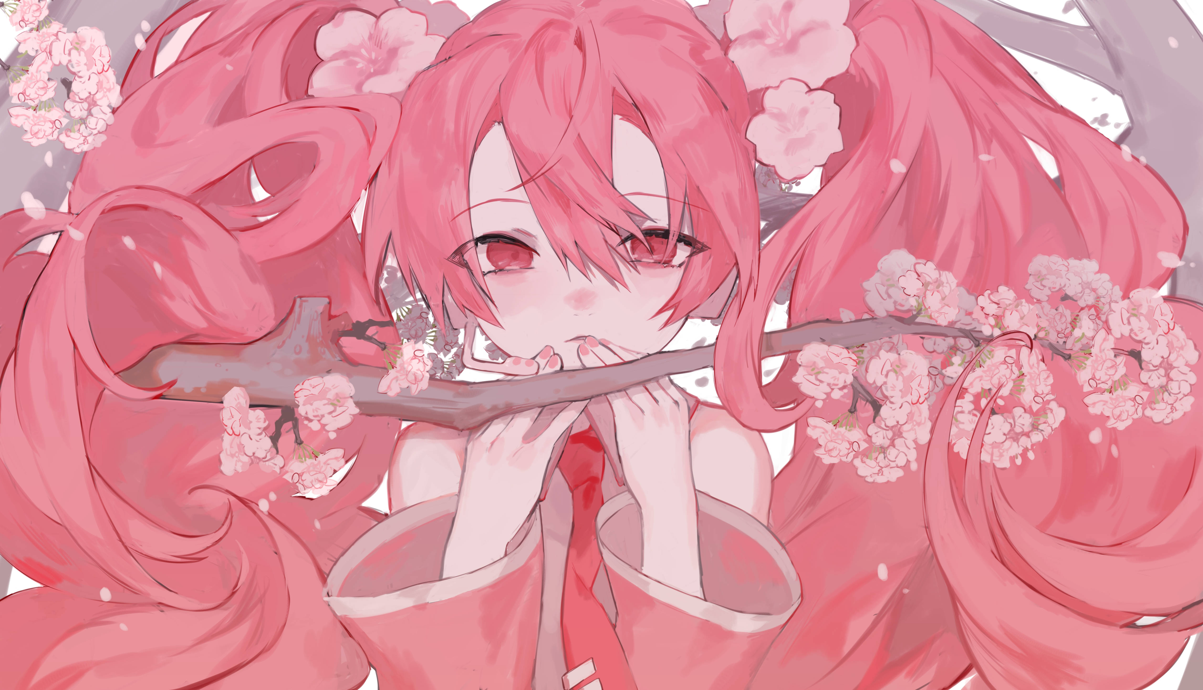 Estética anime rosa Sakura Miku Fondos de pantalla