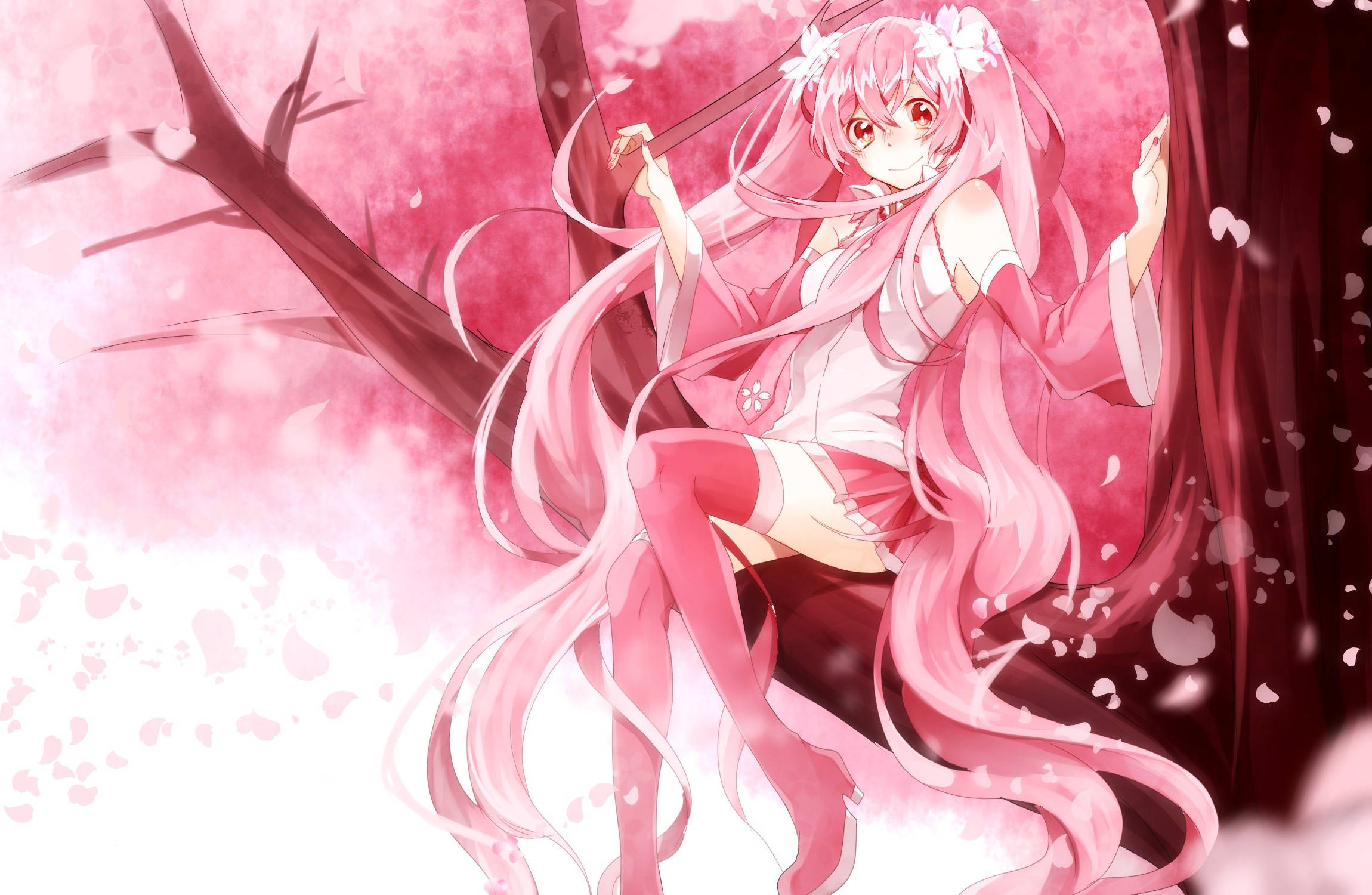 Estética anime rosa Sakura Fondos de pantalla