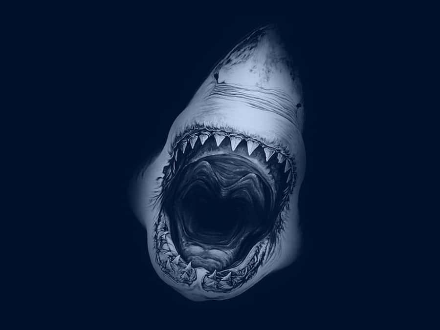 Estética Azul del Rugido del Megalodón Fondos de pantalla