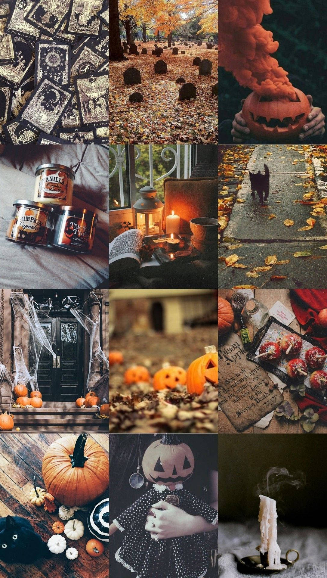 Estética Bruja de Halloween Fondos de pantalla
