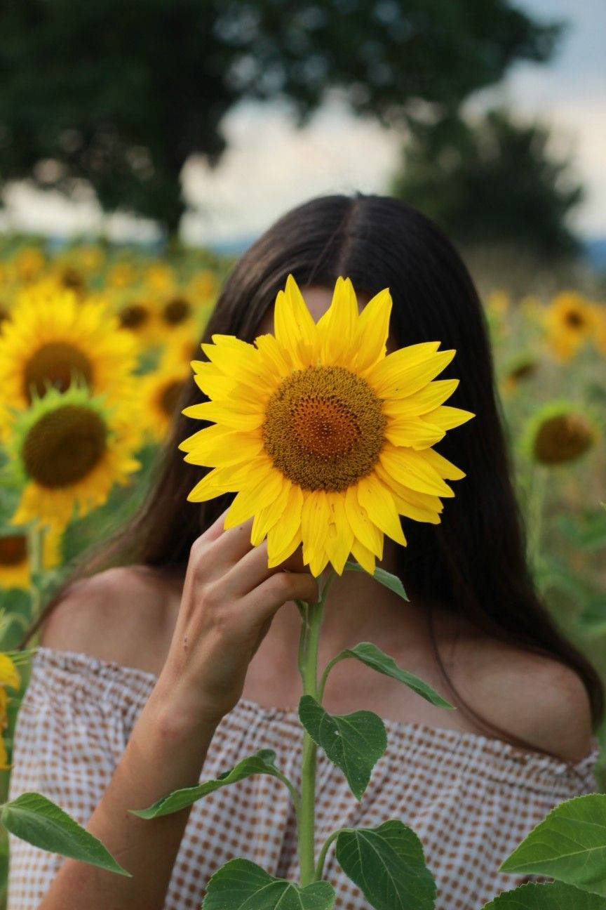 Estética de Chica Girasol Fondos de pantalla