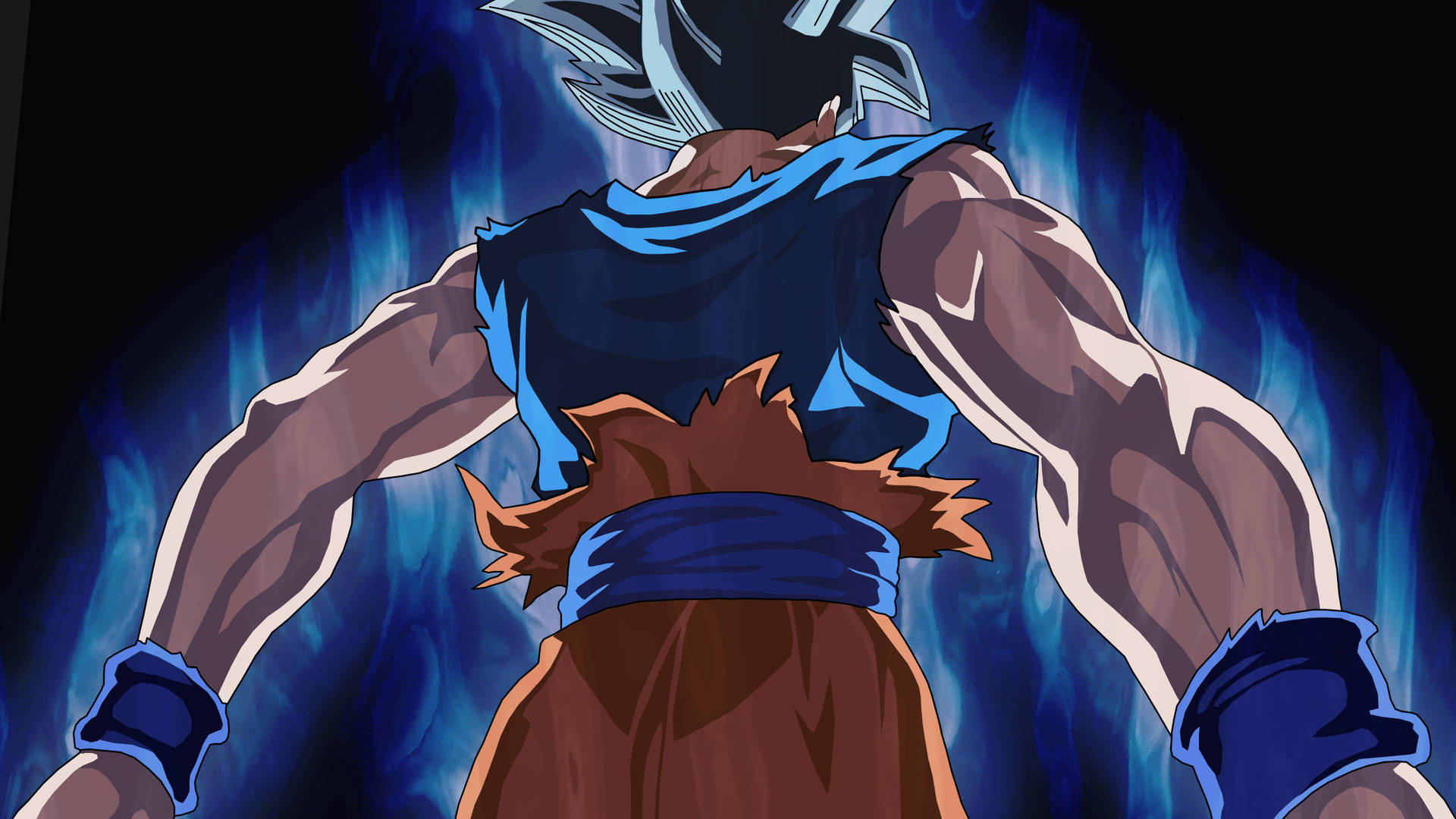 Estética de Goku