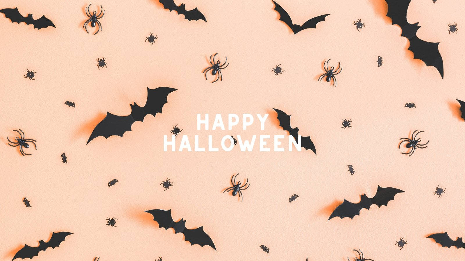 Estética de Halloween para PC con murciélagos y arañas Fondos de pantalla