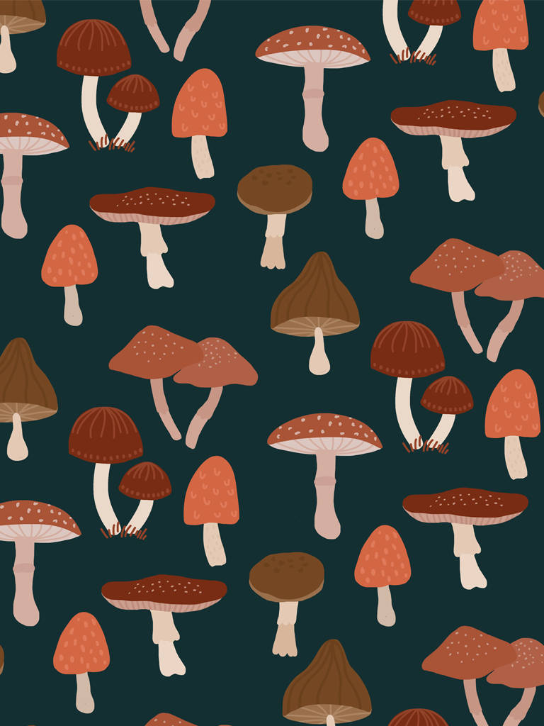 Estética de Hongos Vectoriales Fondos de pantalla
