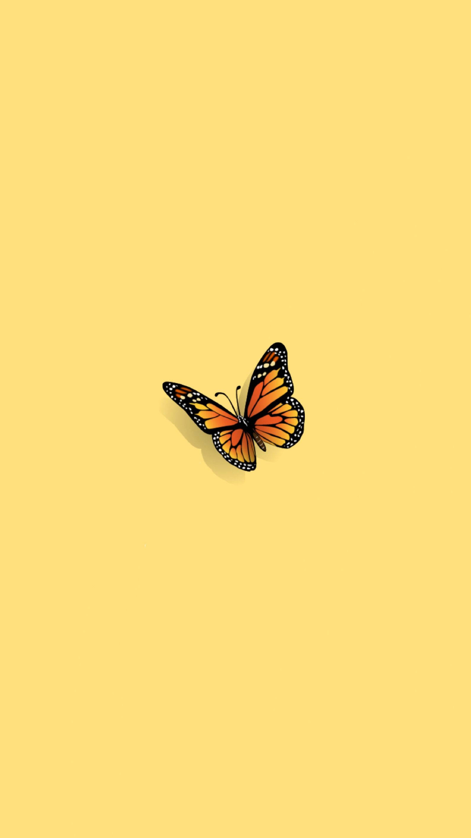 Estética de Mariposa Naranja Minimalista Fondos de pantalla