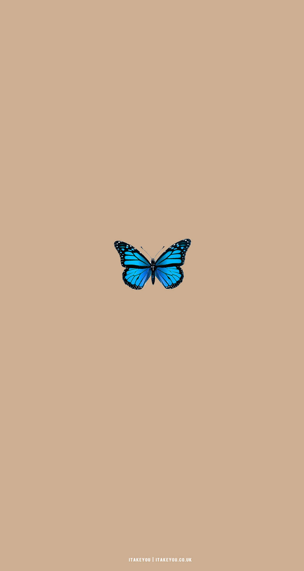 Estética de Mariposa Beige Fondos de pantalla
