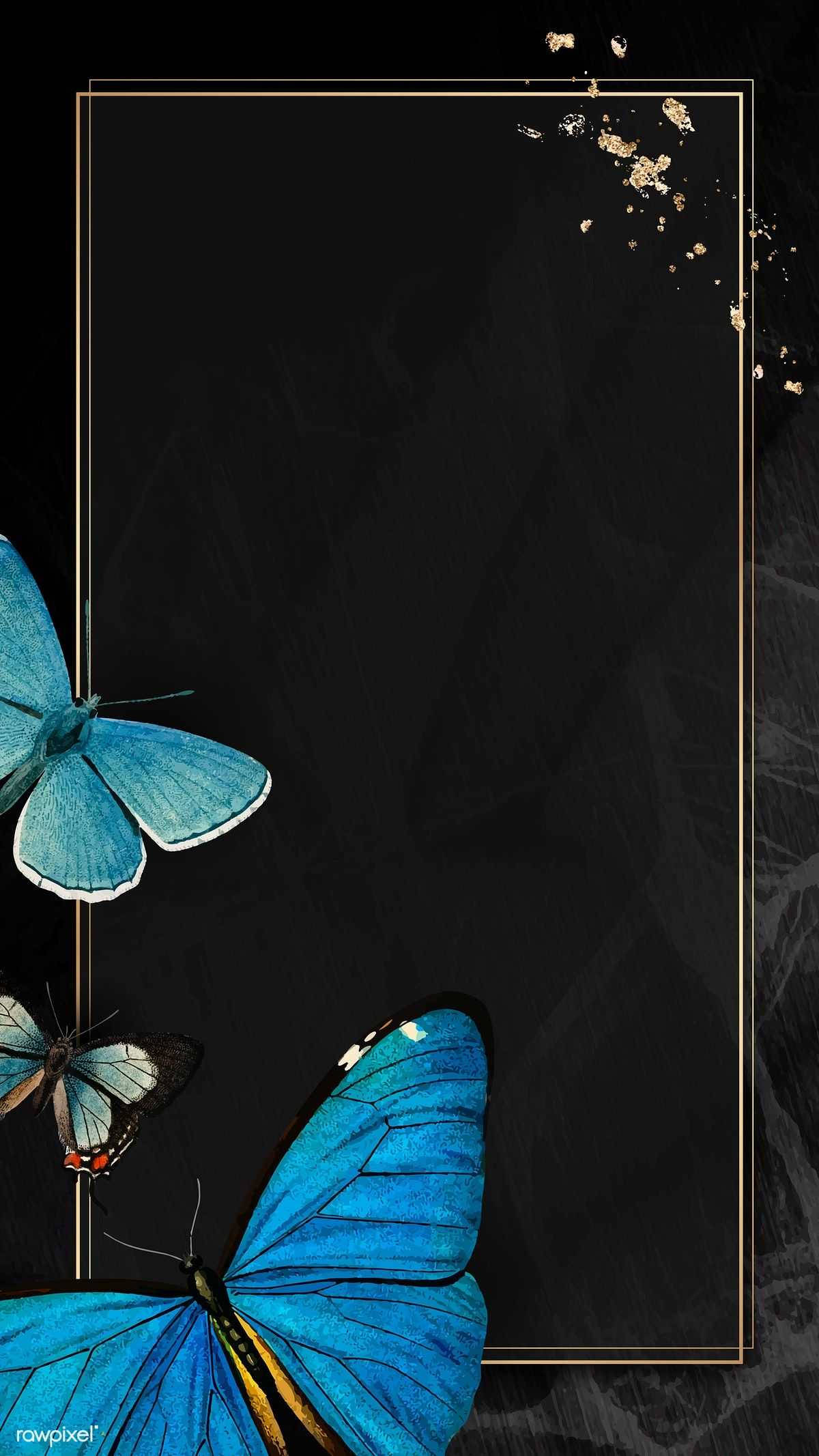 Estética de Mariposa Negra Fondos de pantalla
