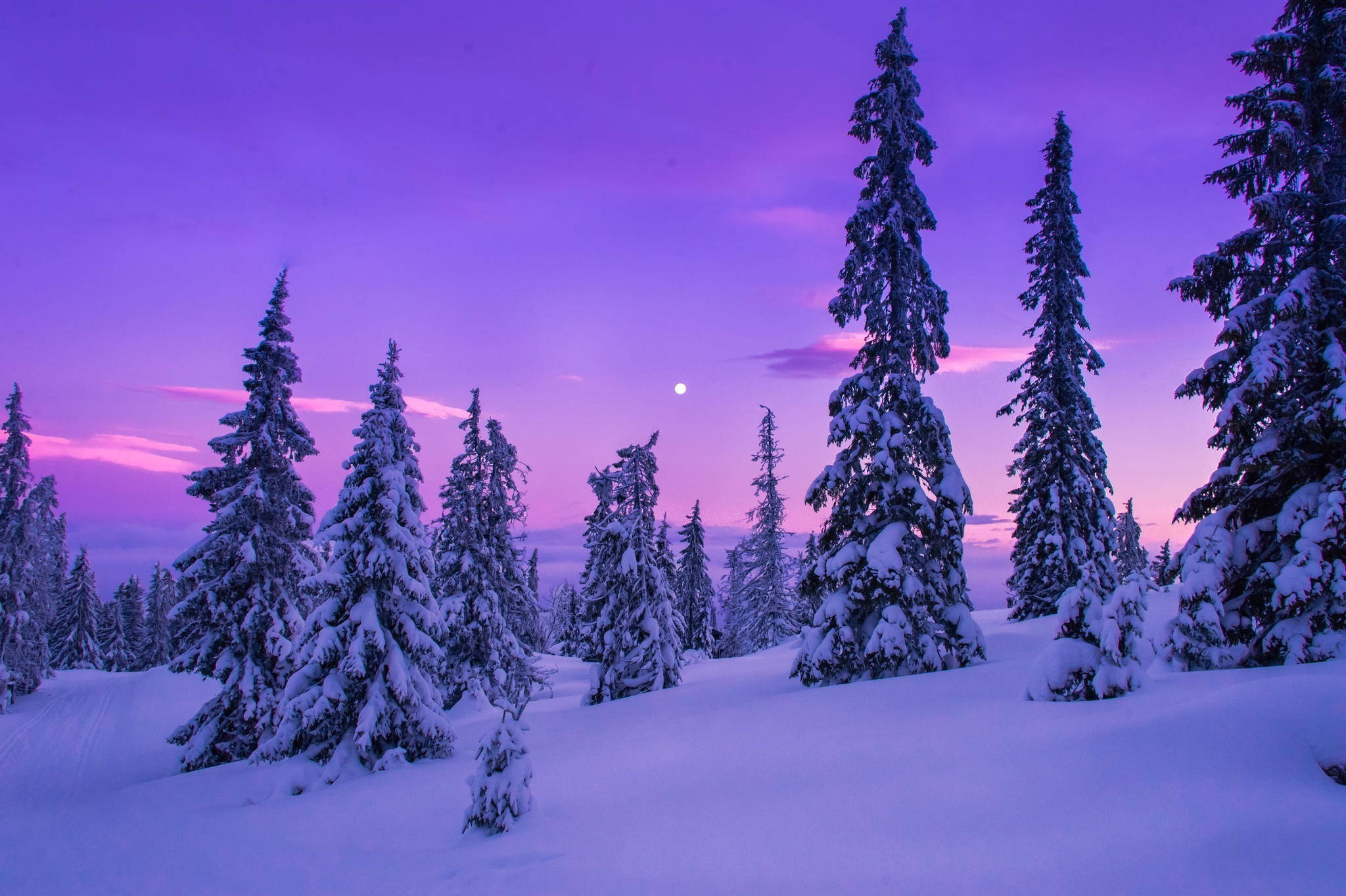 Estética de Nieve al Atardecer Fondos de pantalla