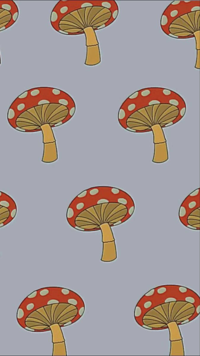 Estética de Patrón de Hongos Fondos de pantalla