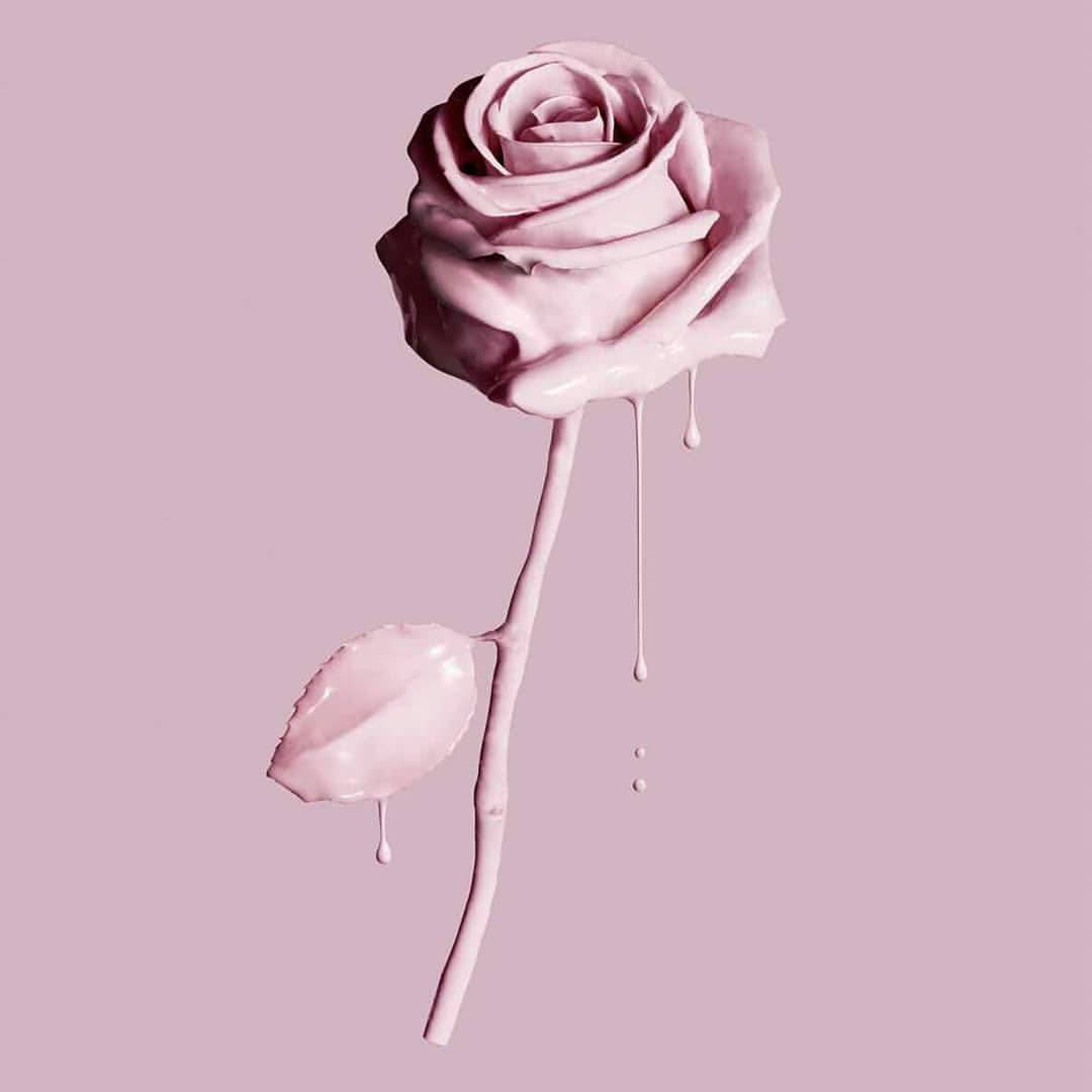 Estética de Rosa Dorado Derritiéndose Fondos de pantalla