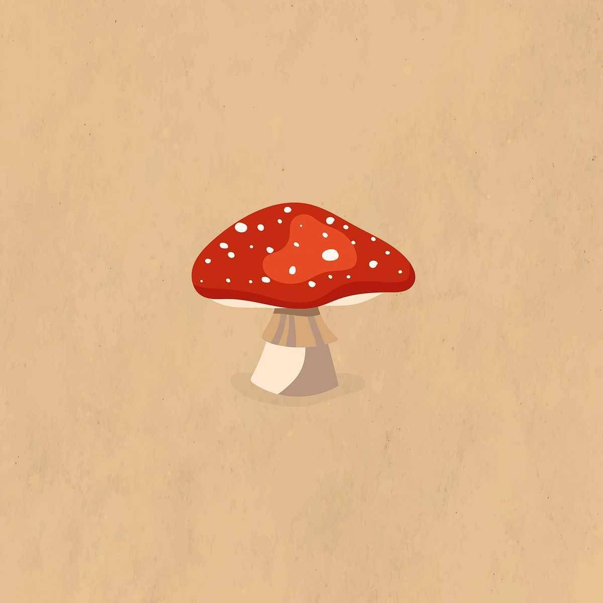 Estética de Seta de Gorro Rojo Fondos de pantalla