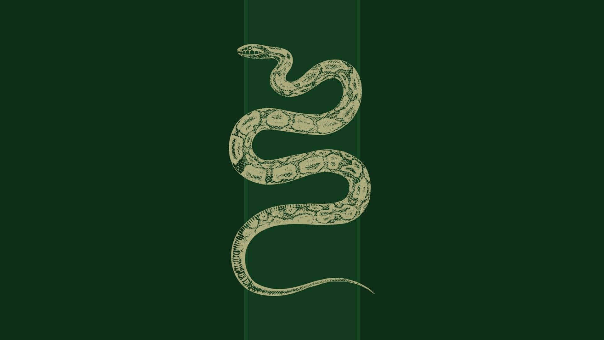 Estética de una habitación de Slytherin Fondos de pantalla