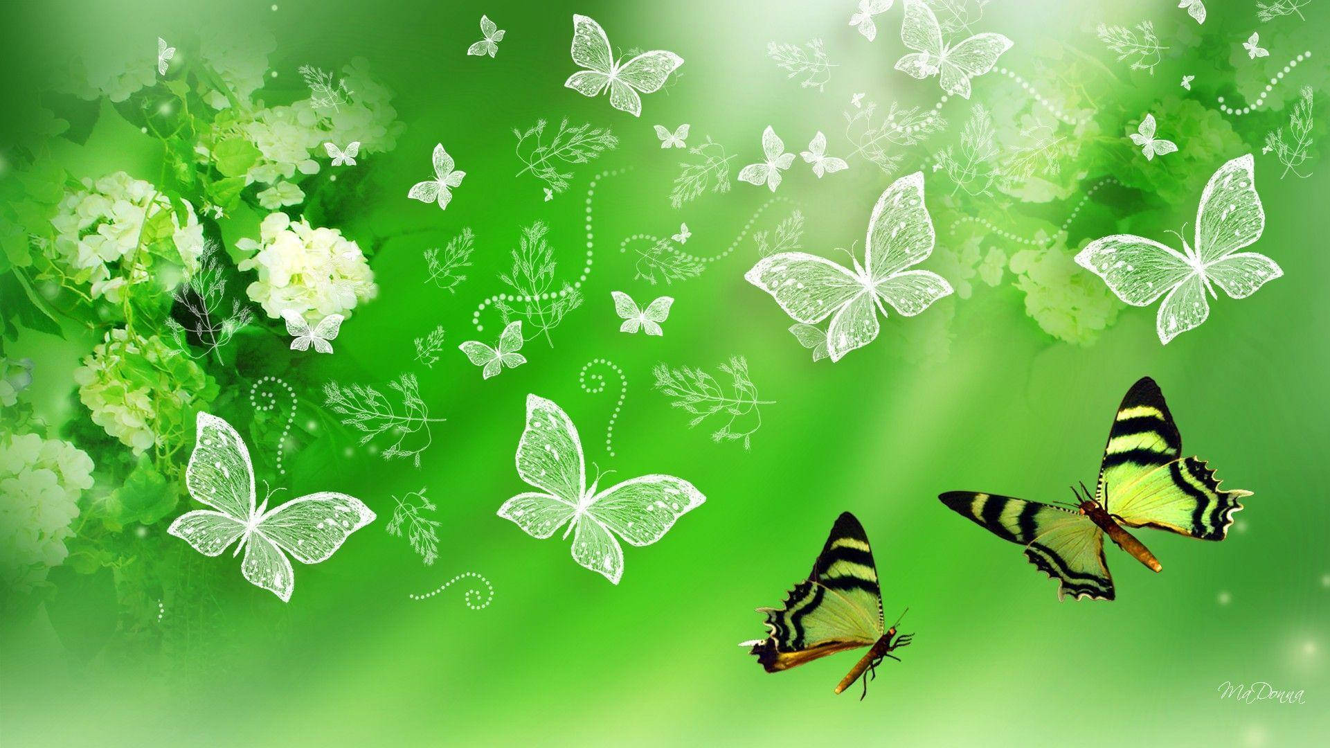 Estética Elegante de Mariposa Fondos de pantalla