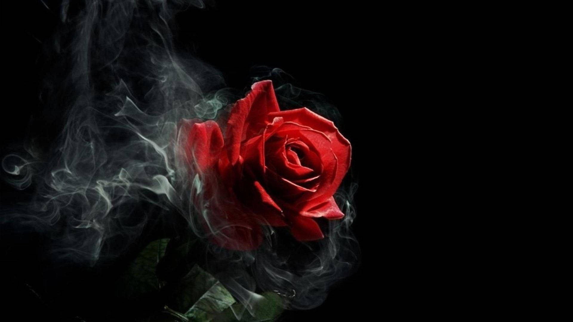 Estética Gótica de Rosa y Humo Fondos de pantalla