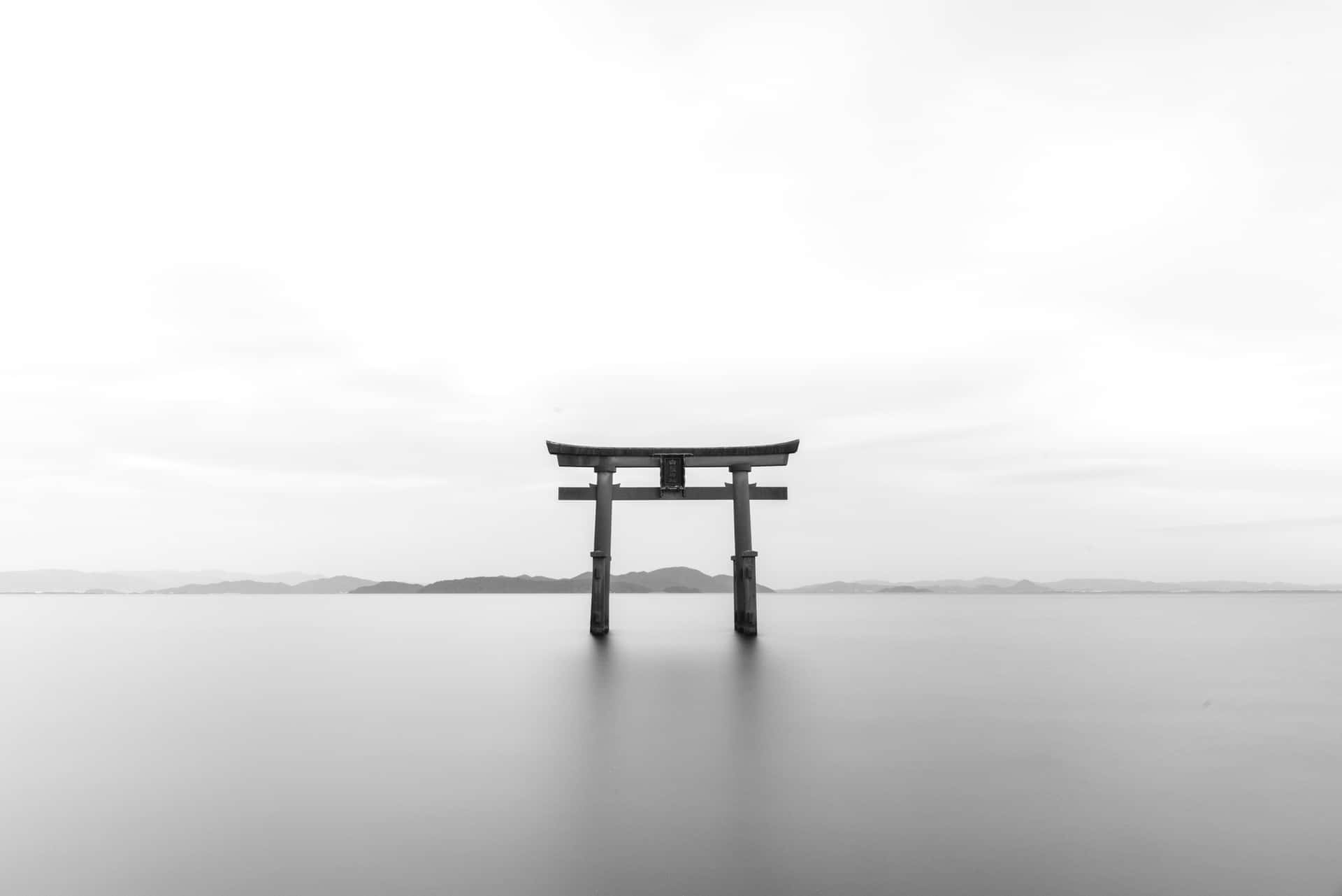 Estética gris para todos los días. Fondos de pantalla