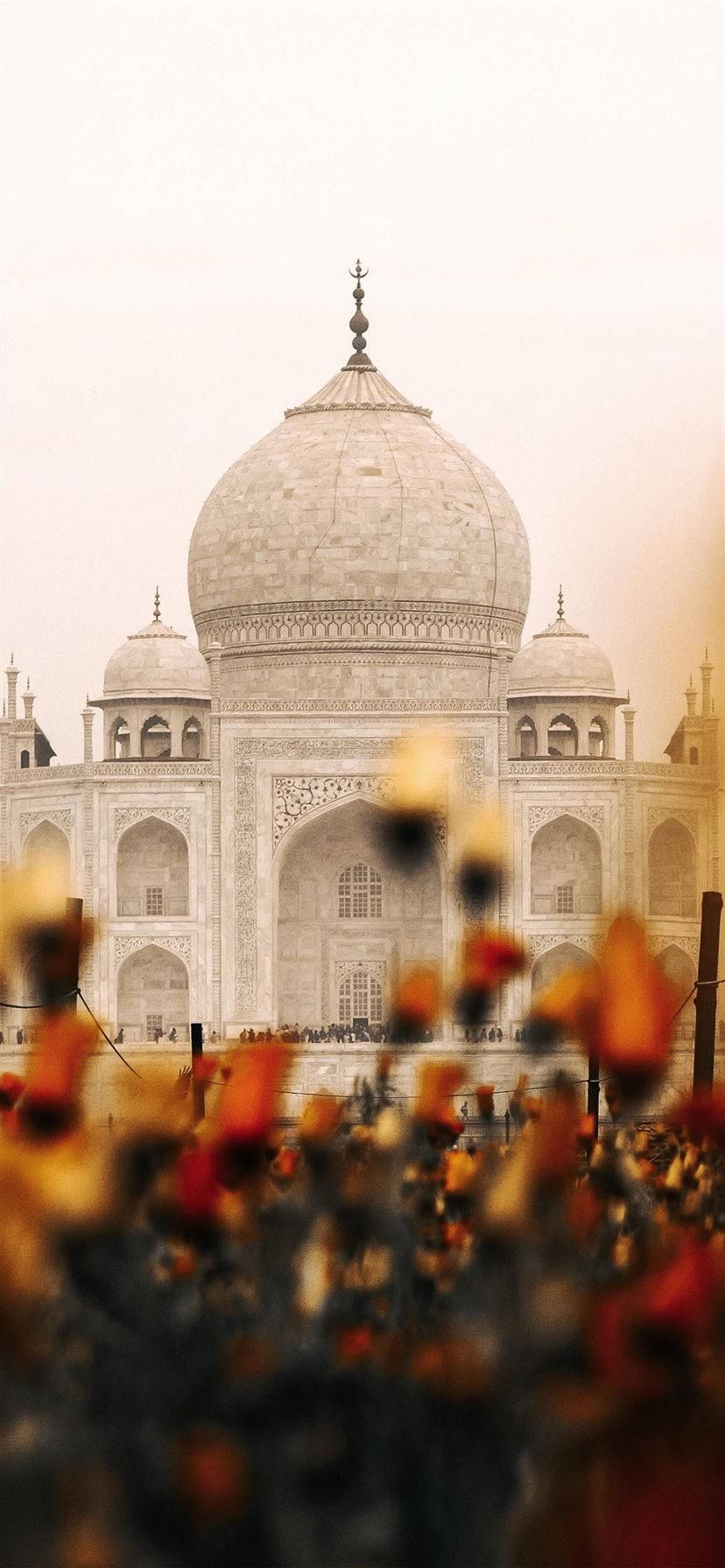 Estética India Taj Mahal Flores Fondos de pantalla