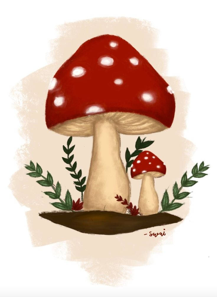 Estética Indie Kid Champiñón Rojo Fondos de pantalla