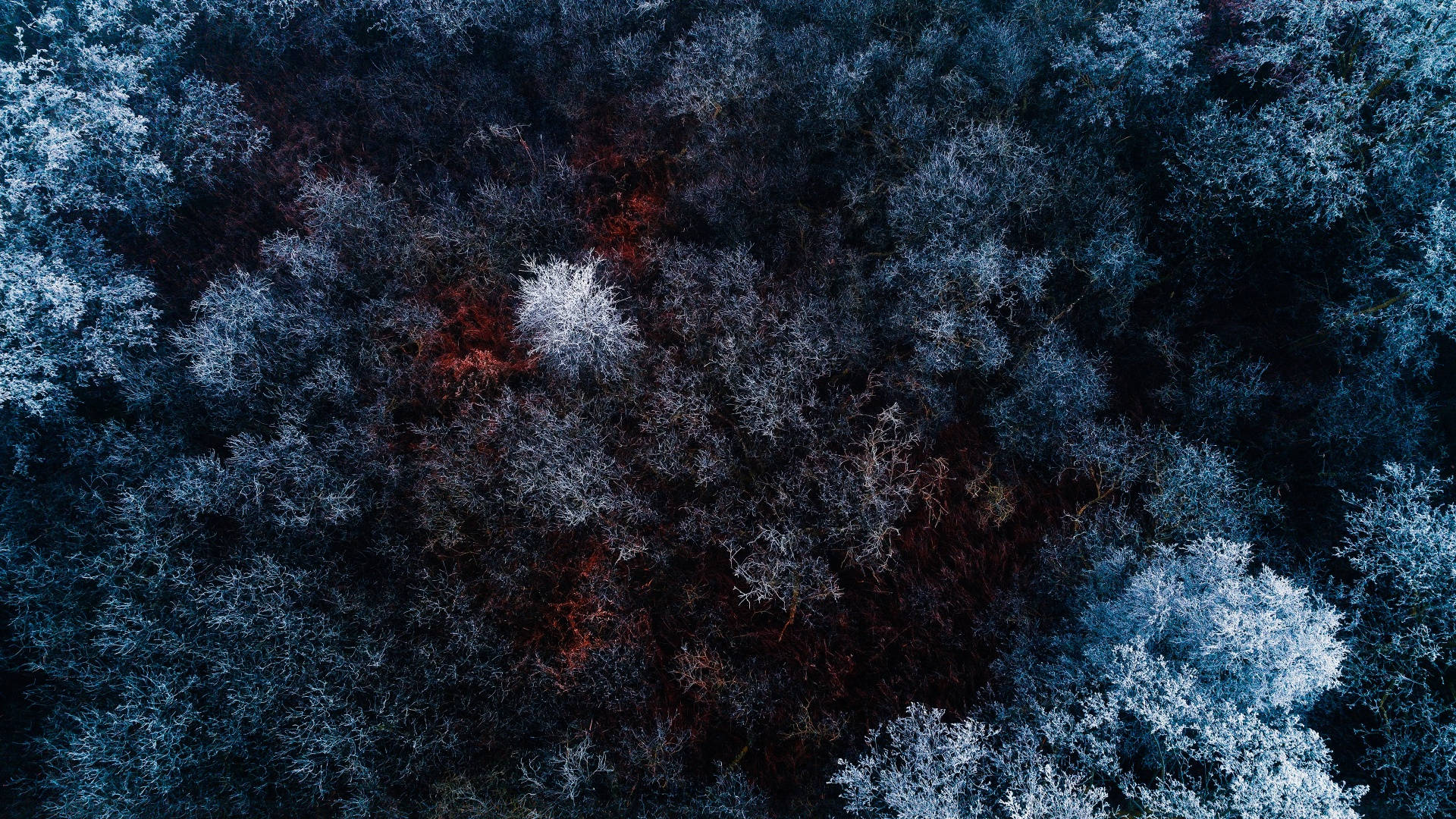 Estética Invernal desde Vista de Pájaro Fondos de pantalla
