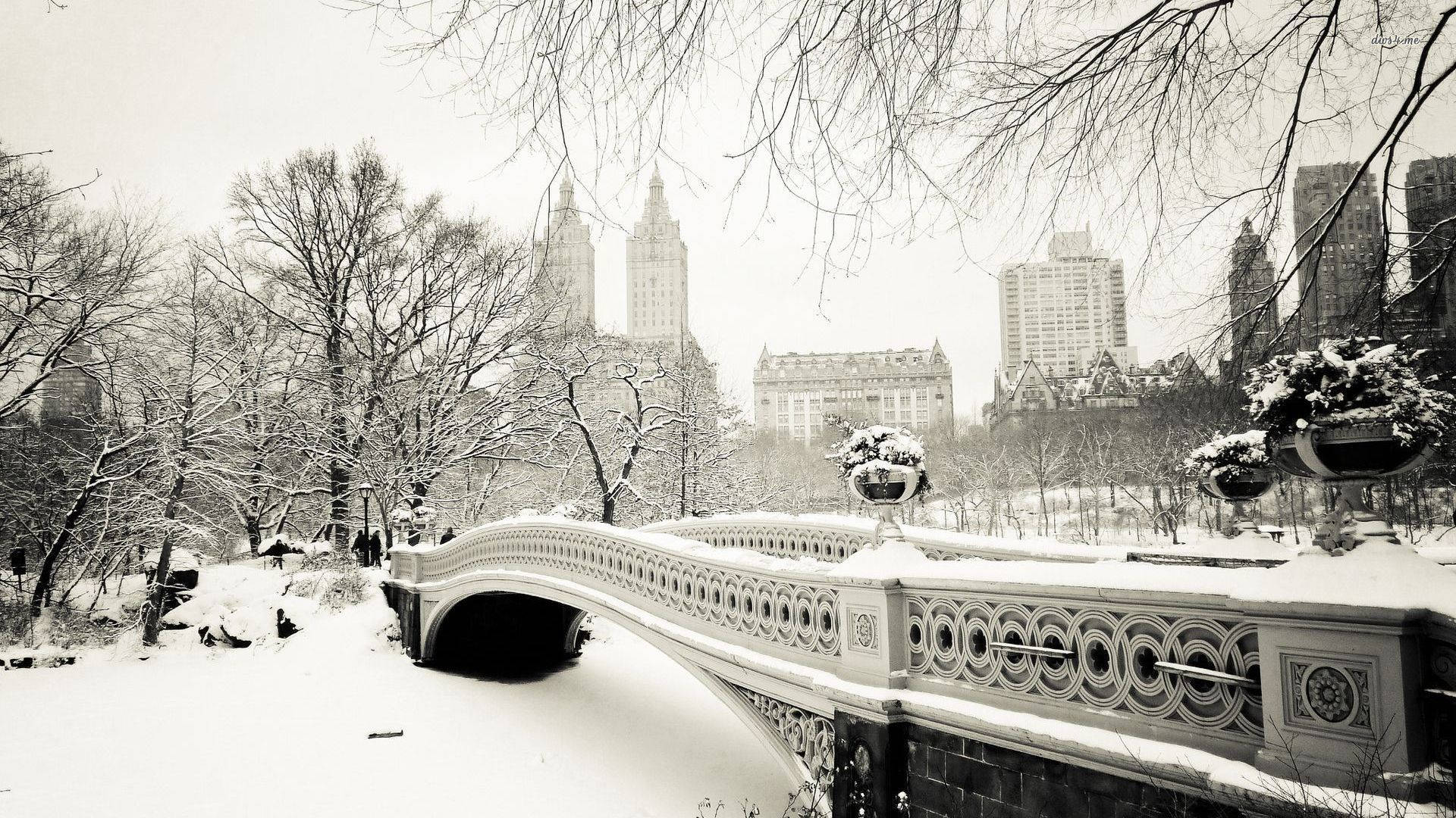 Estética Invernal Central Park Fondos de pantalla