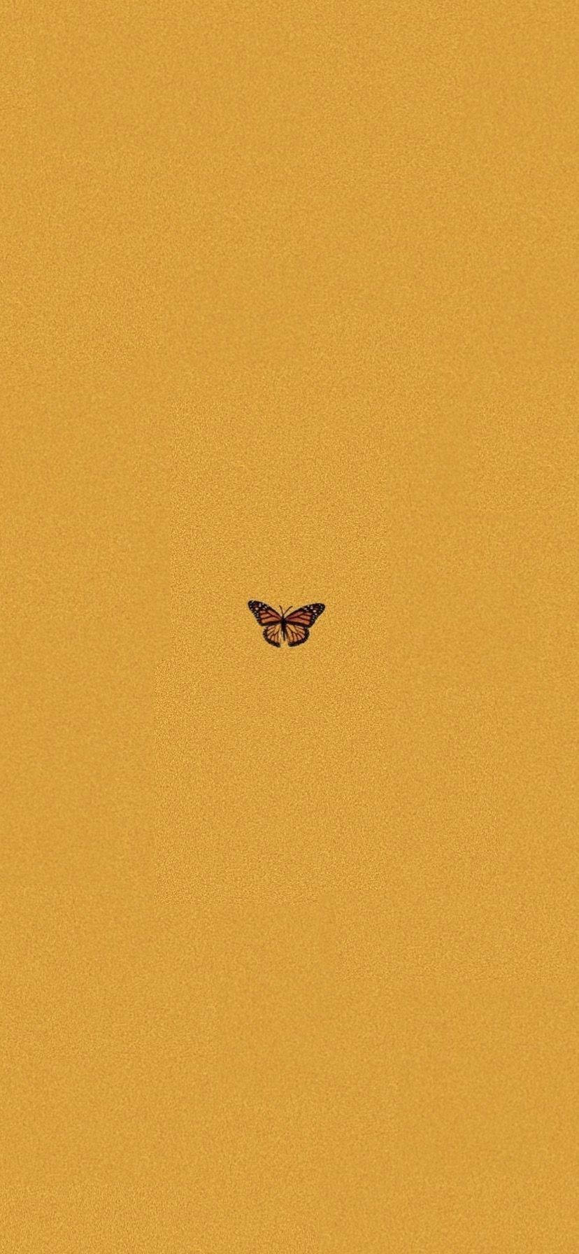 Estética Mariposa Mostaza Amarillo Fondos de pantalla