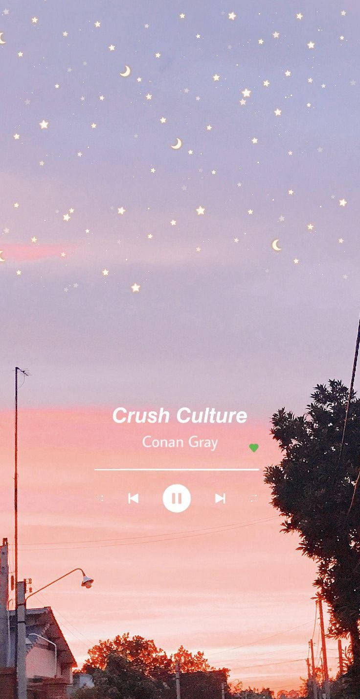 Estética musical de Conan Gray Fondos de pantalla