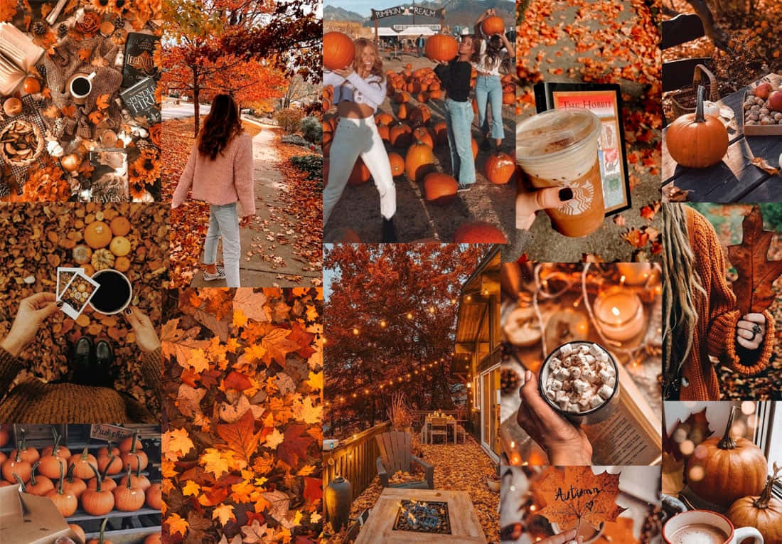 Estética Naranja de Otoño Linda Fondos de pantalla