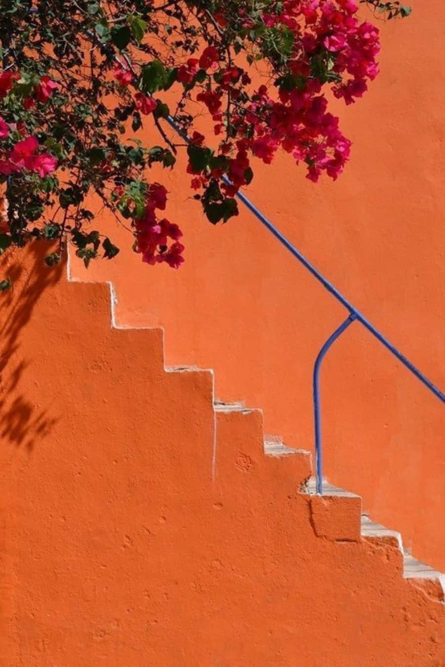 Estética Naranja - Un Mundo de Colores Brillantes Fondos de pantalla