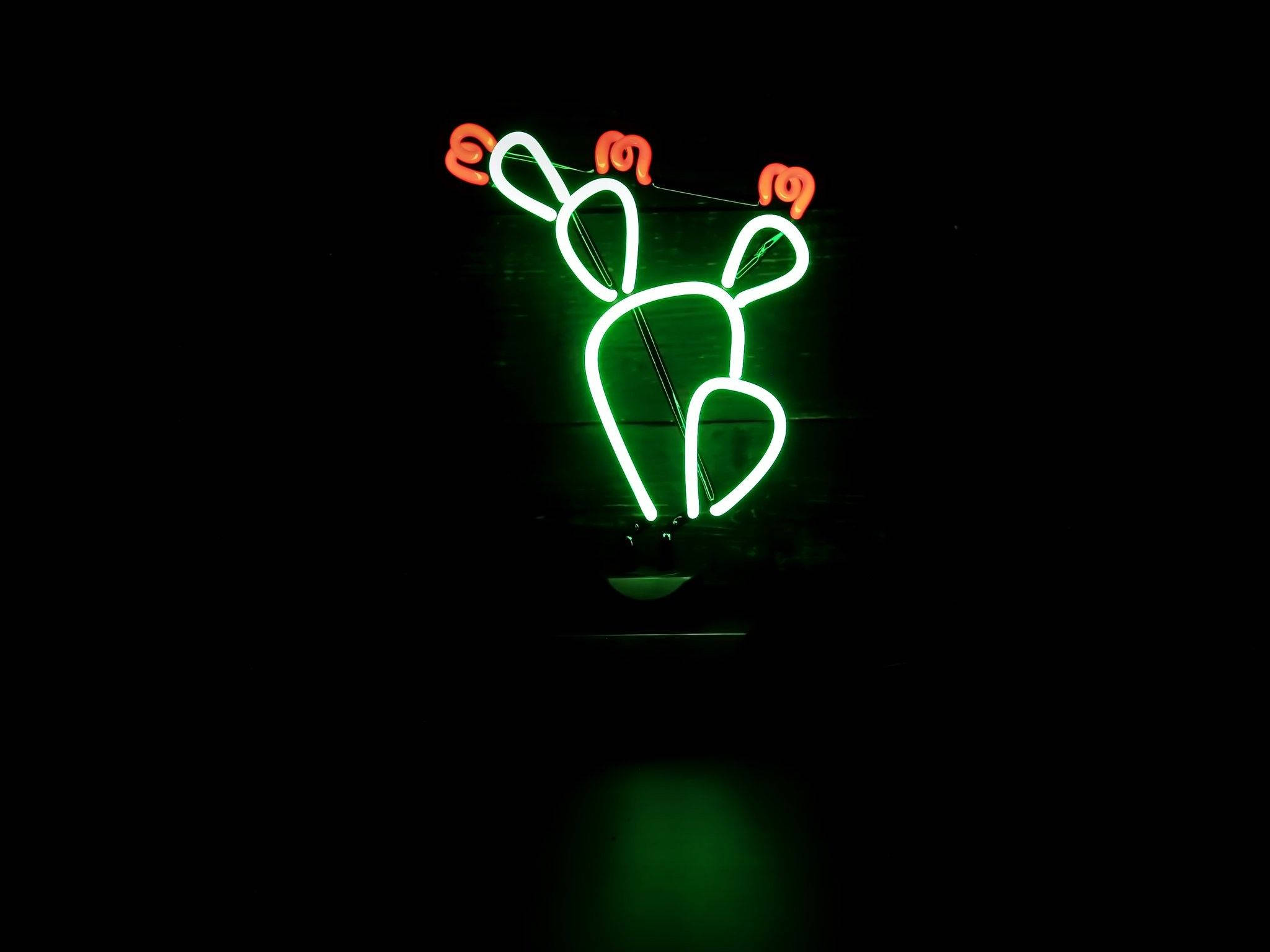 Estética neón verde de cactus con flores Fondos de pantalla