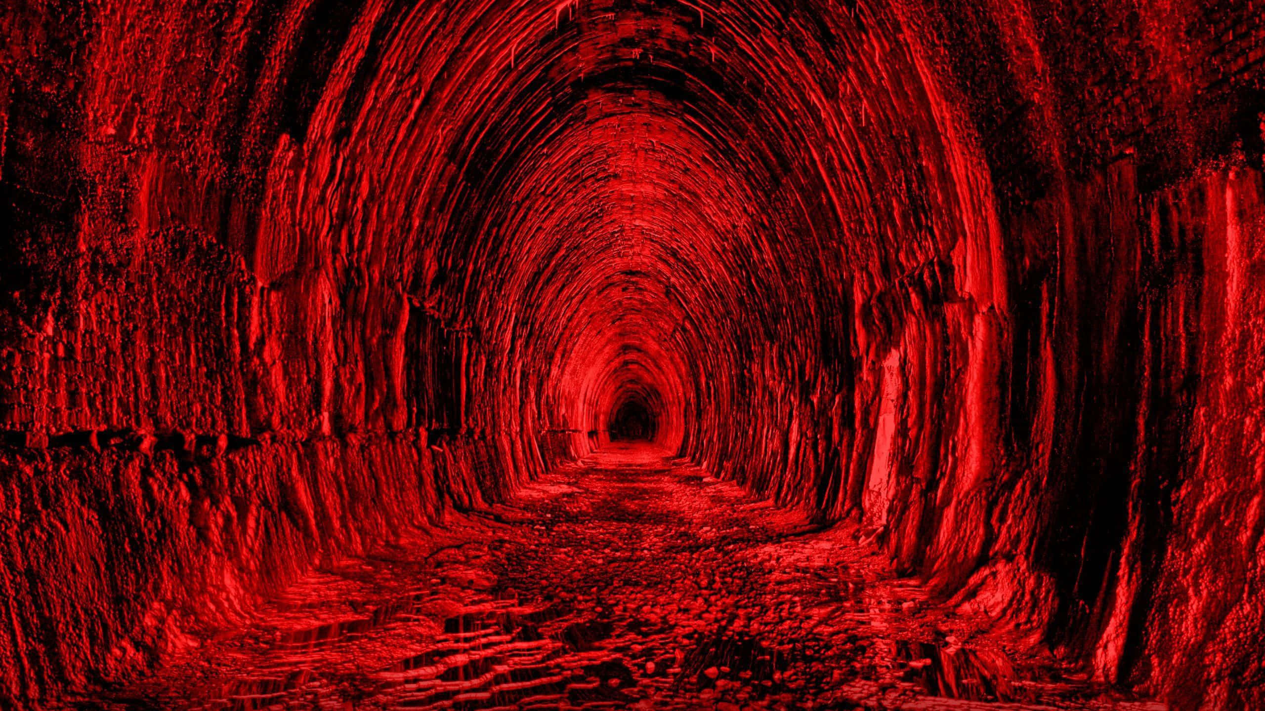 Estética Roja - Uniendo Vitalidad y Belleza Fondos de pantalla