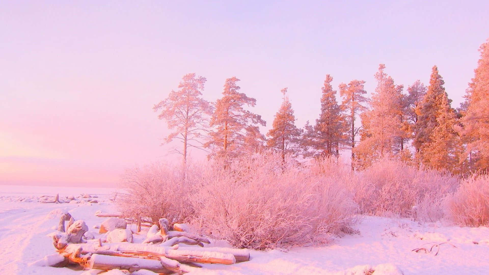 Estética Rosa Claro de Ensueño Fondos de pantalla