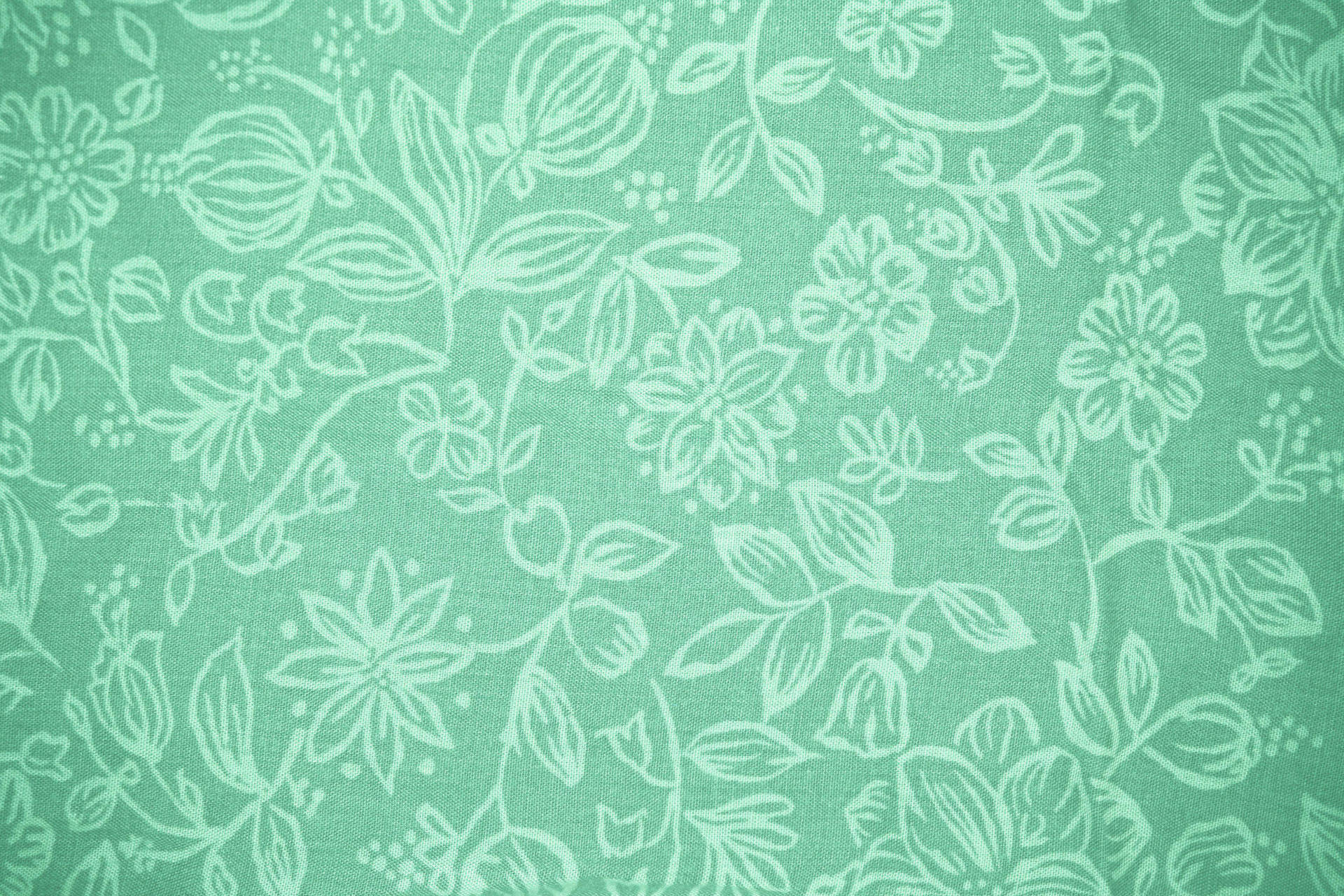 Estética Verde Salvia Estampada Fondos de pantalla