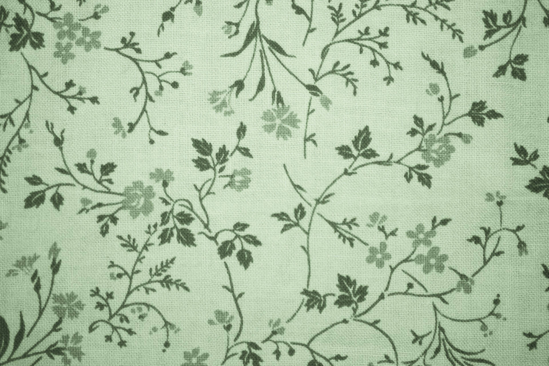 Estética Vintage Verde Salvia Fondos de pantalla
