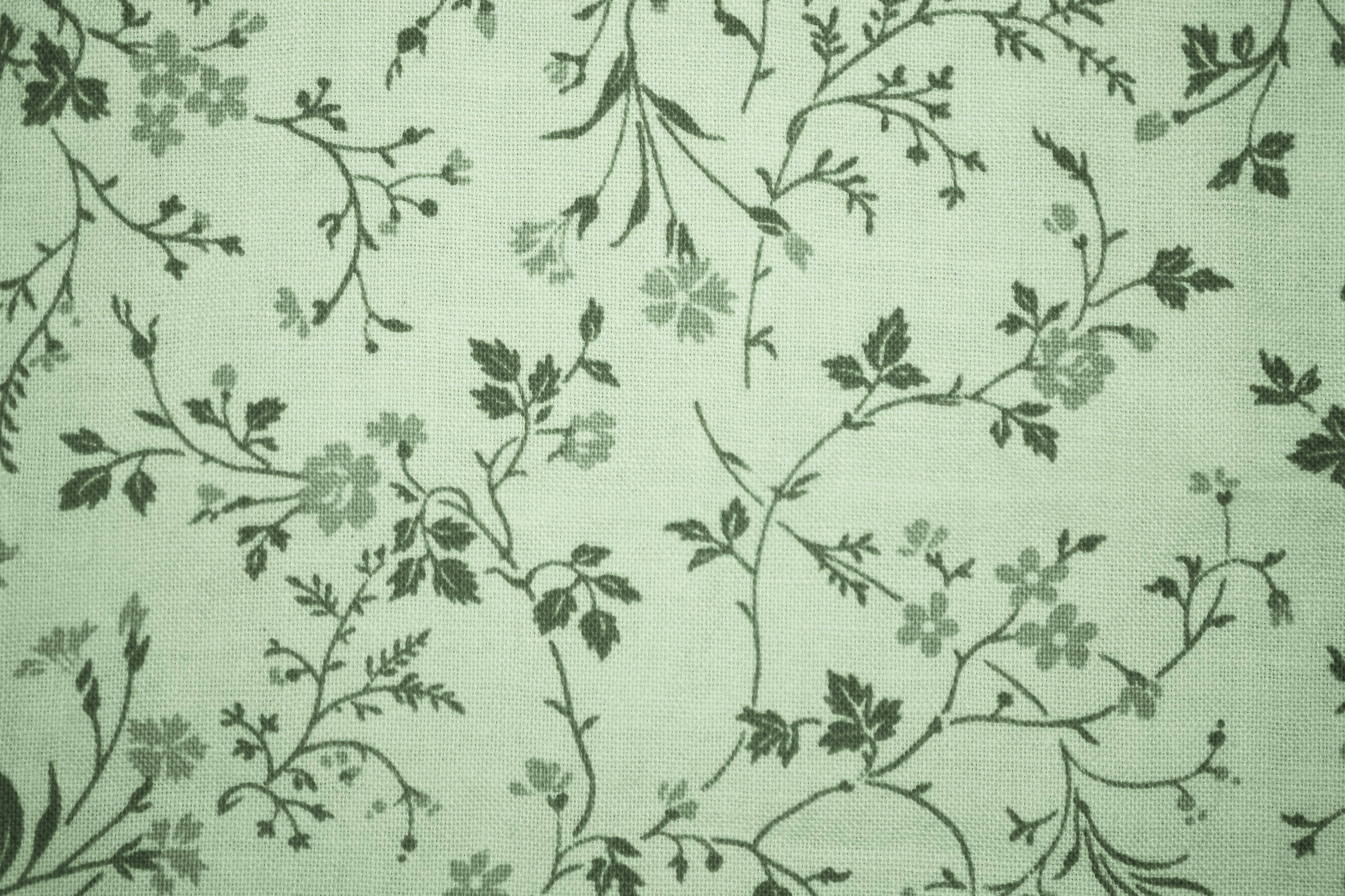 Estética Vintage Verde Salvia Fondos de pantalla