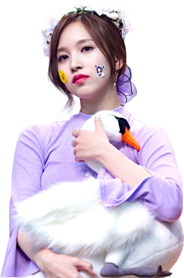 Estrella del Kpop con cisne de peluche Fondos de pantalla