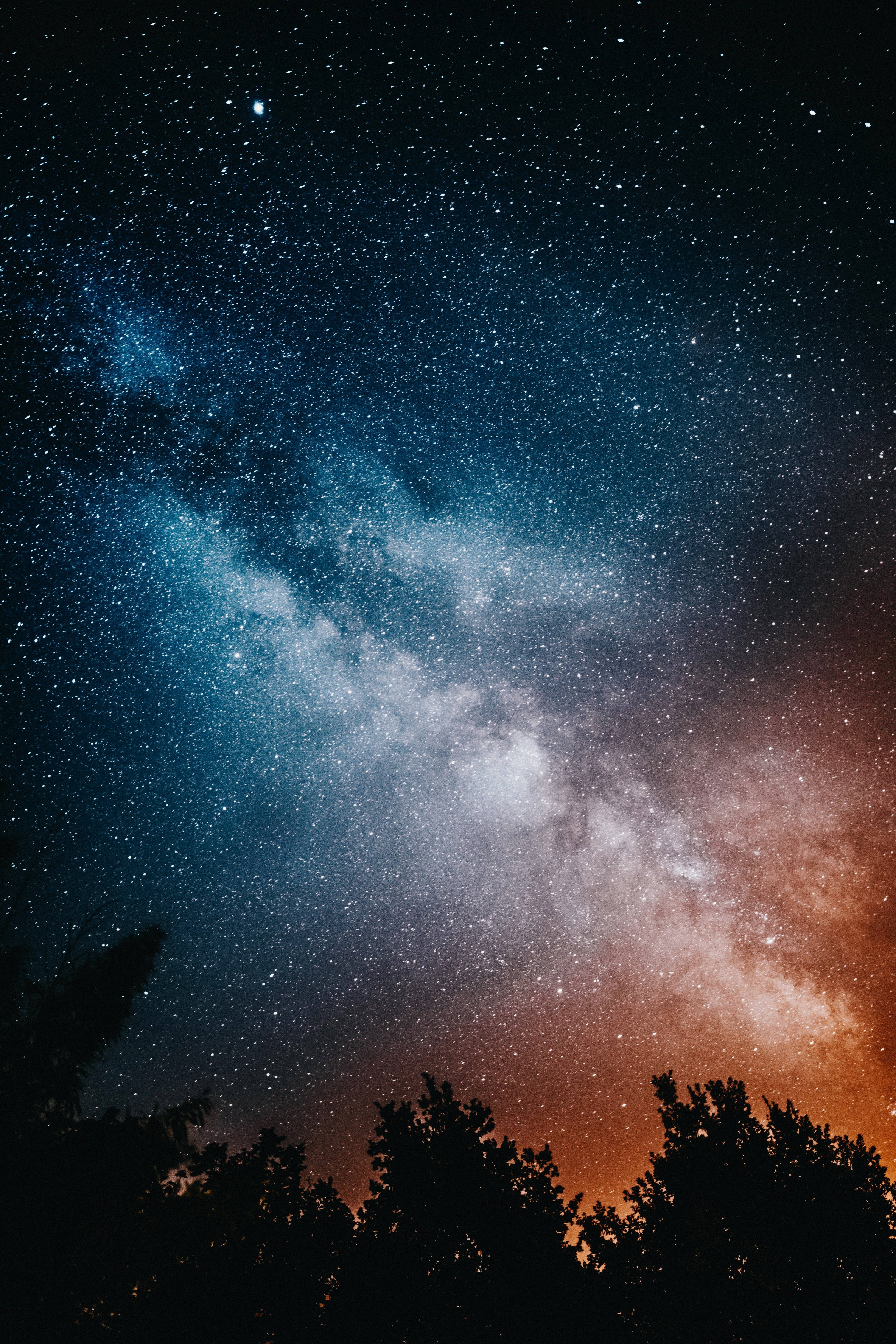 Estrella y Árboles de Alta Resolución Fondos de pantalla