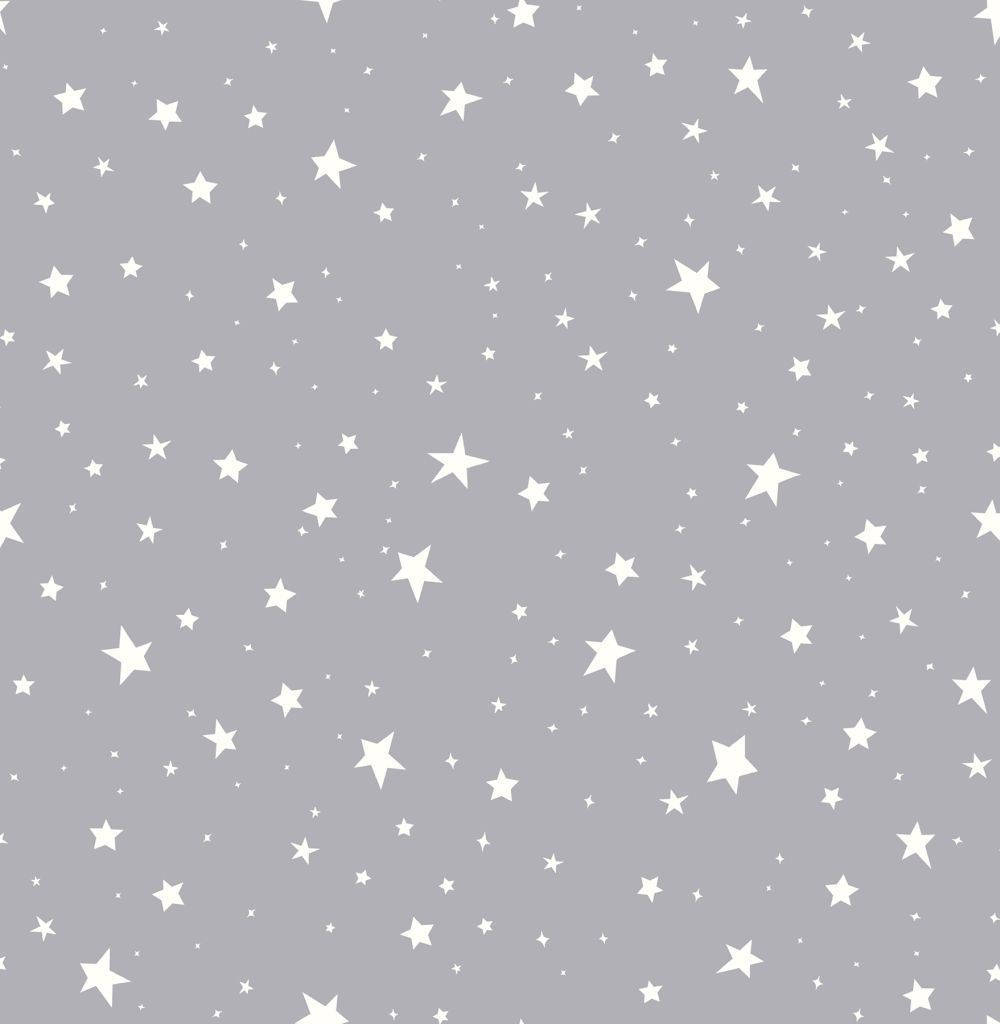 Estrellas Delicadamente Colocadas Brillan en el Cielo Nocturno Fondos de pantalla