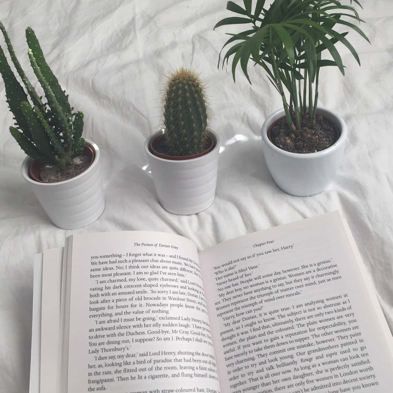 ¡Explora el mundo de los libros! 📖 Fondos de pantalla
