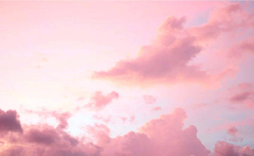 Explora la belleza estética pastel de este suave visual rosa claro Fondos de pantalla