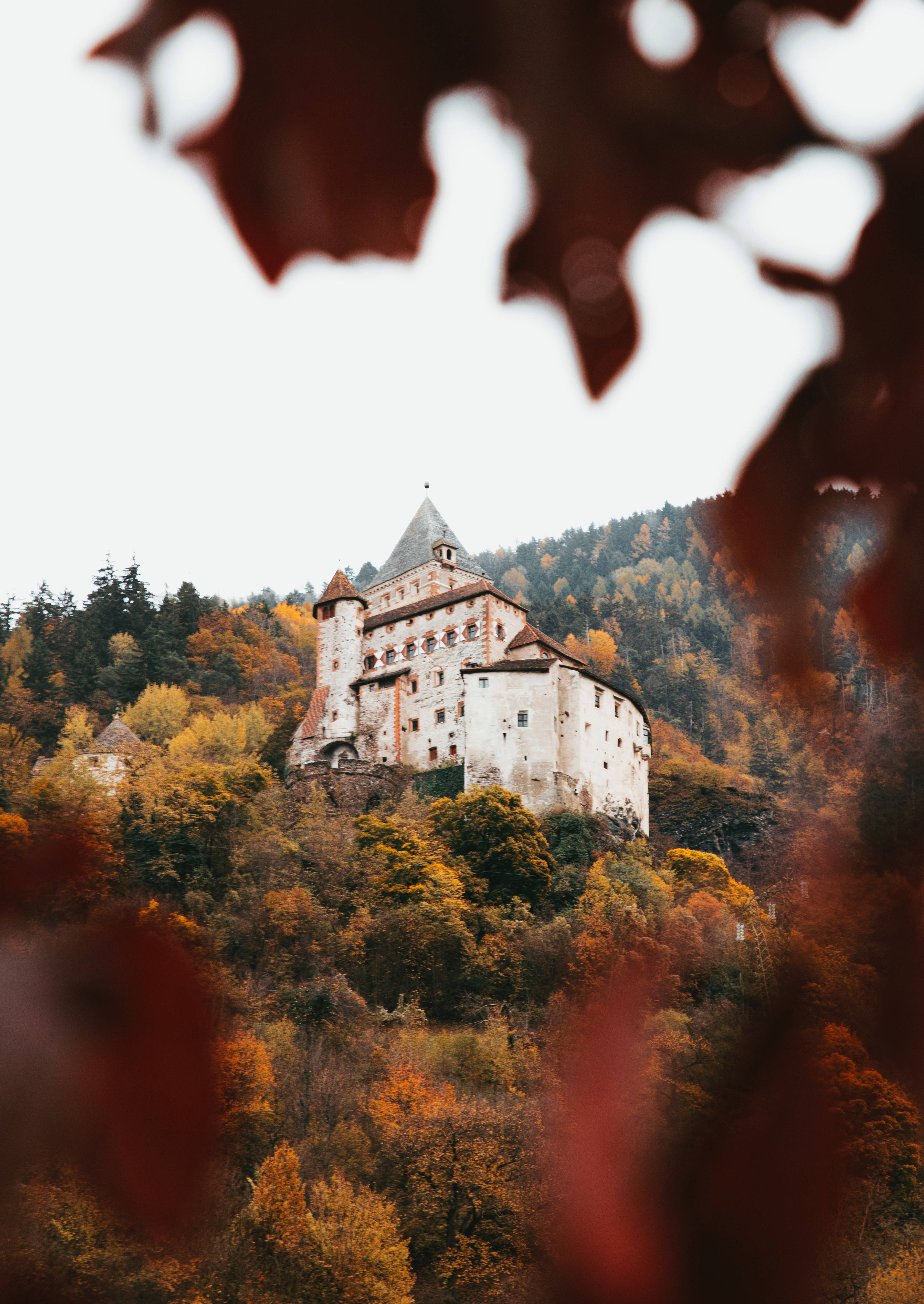 Explora la serenidad de las colinas onduladas y los frondosos bosques de este castillo medieval. Fondos de pantalla
